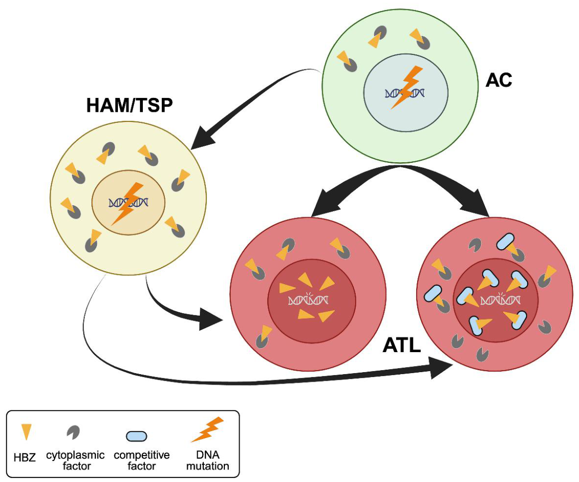 Preprints 217992 g002 Preprints 217992 g002