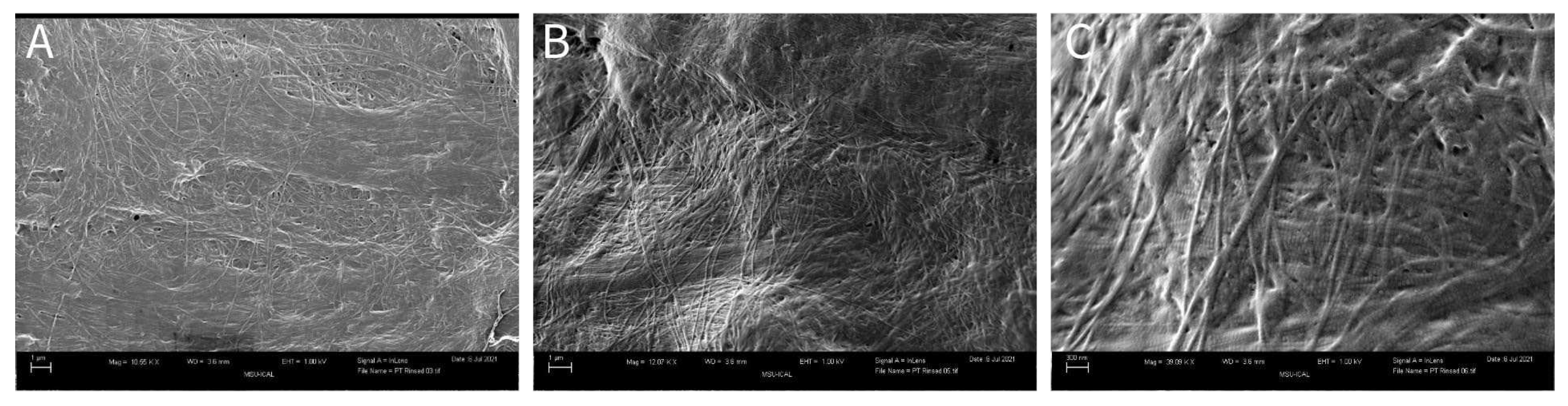 Preprints 96780 g003