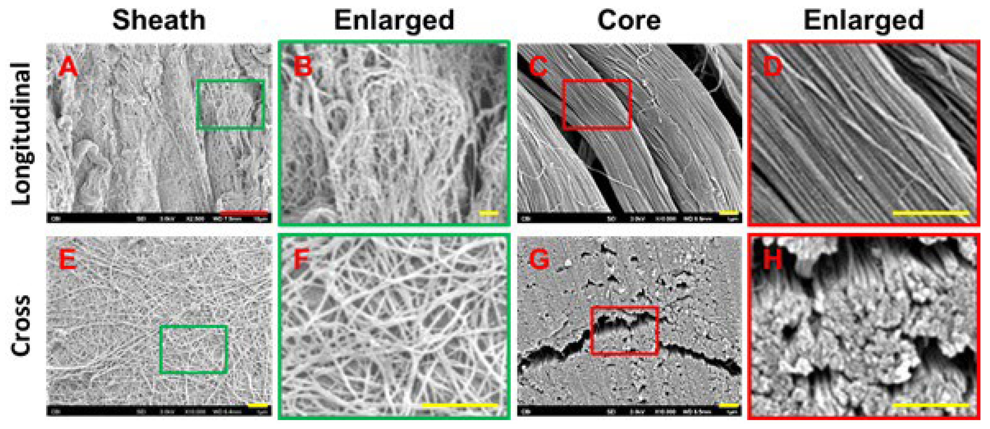 Preprints 96780 g004