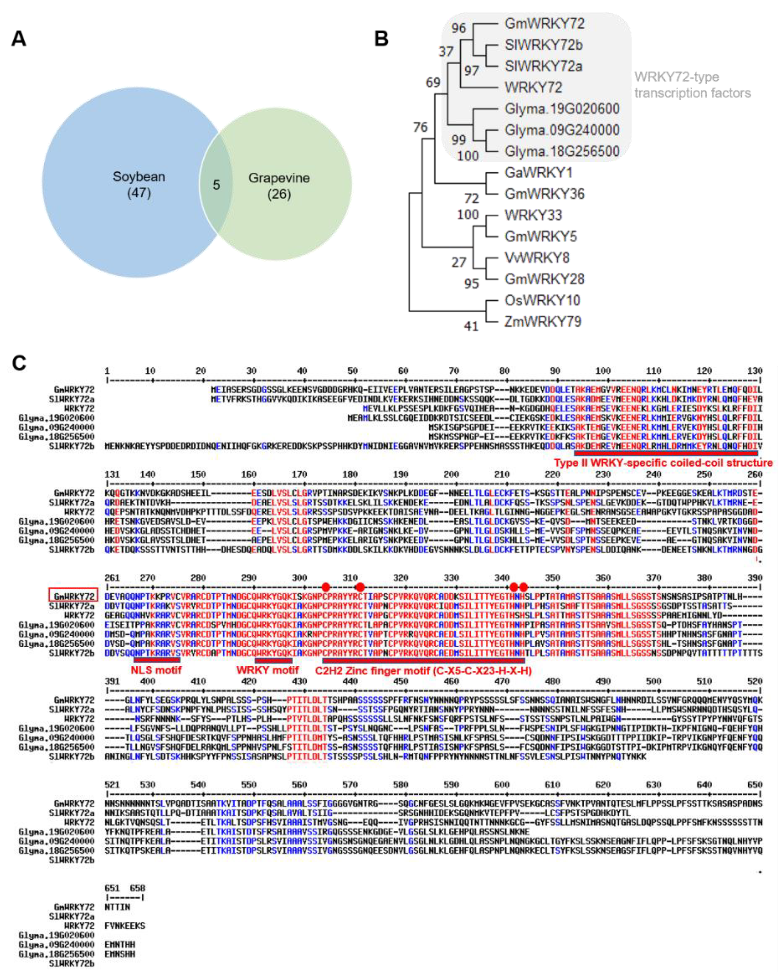 Preprints 116496 g002