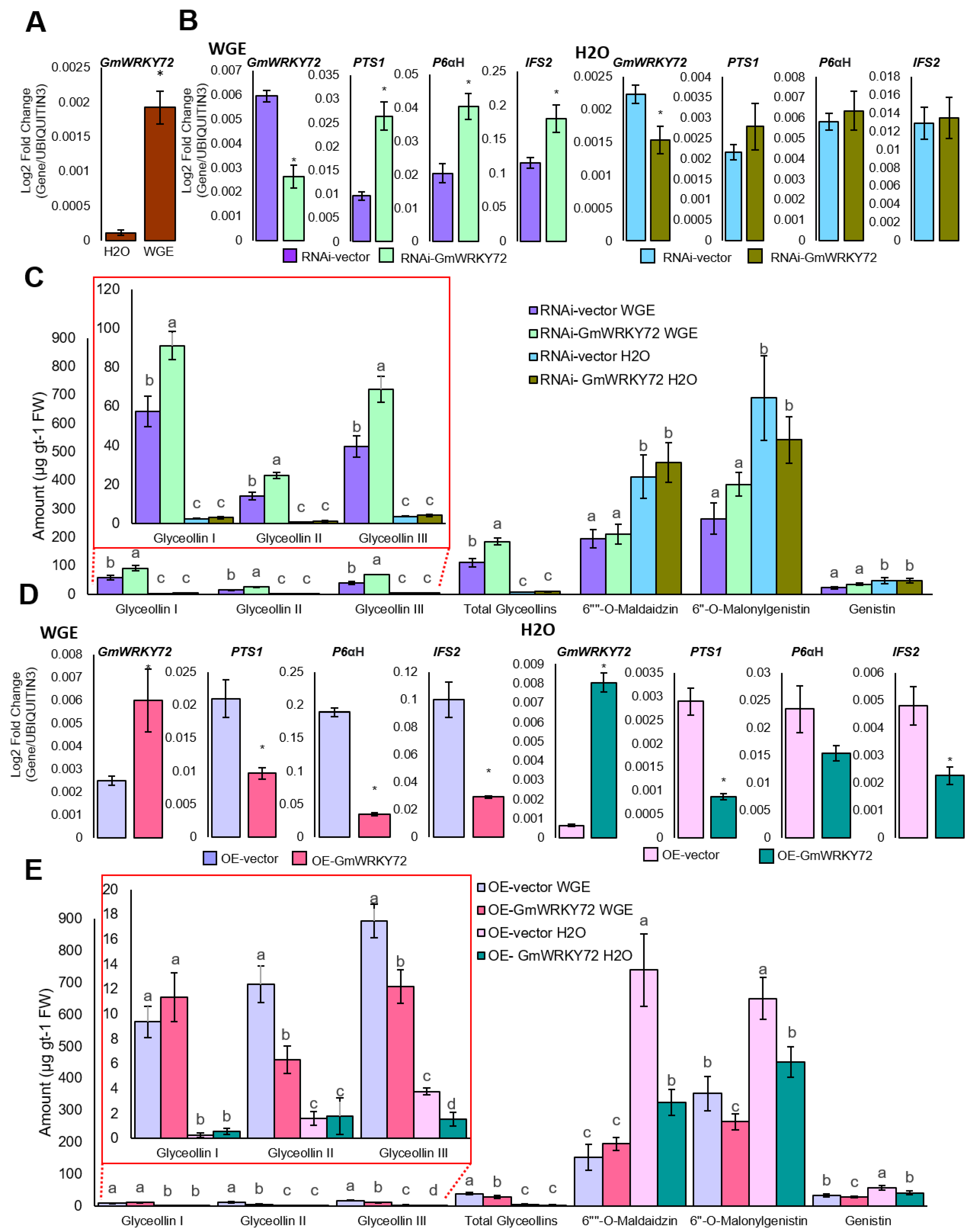 Preprints 116496 g003