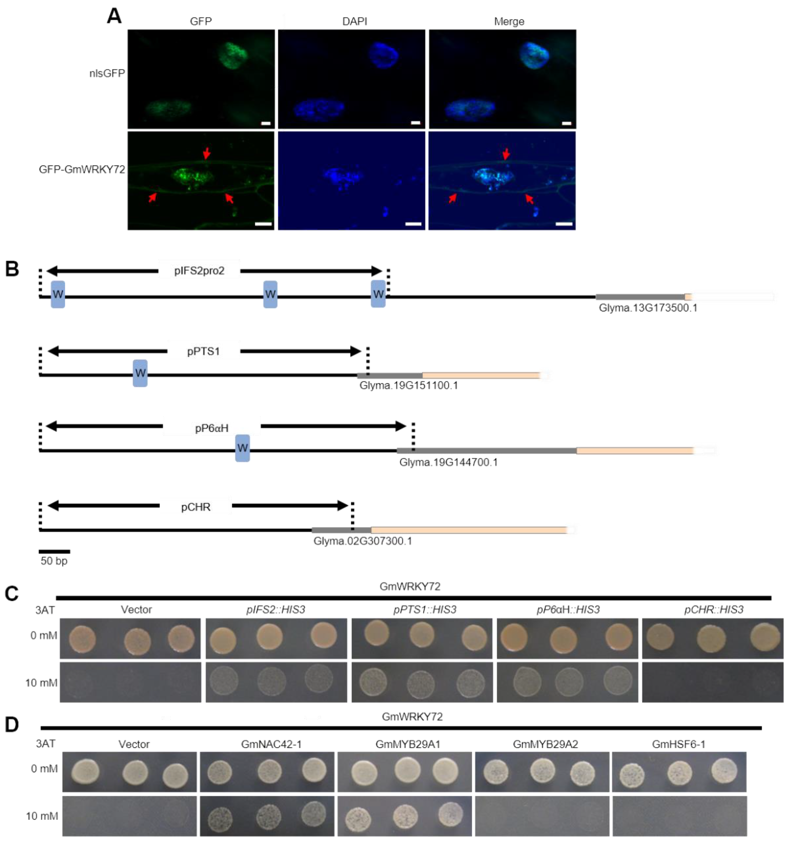 Preprints 116496 g004