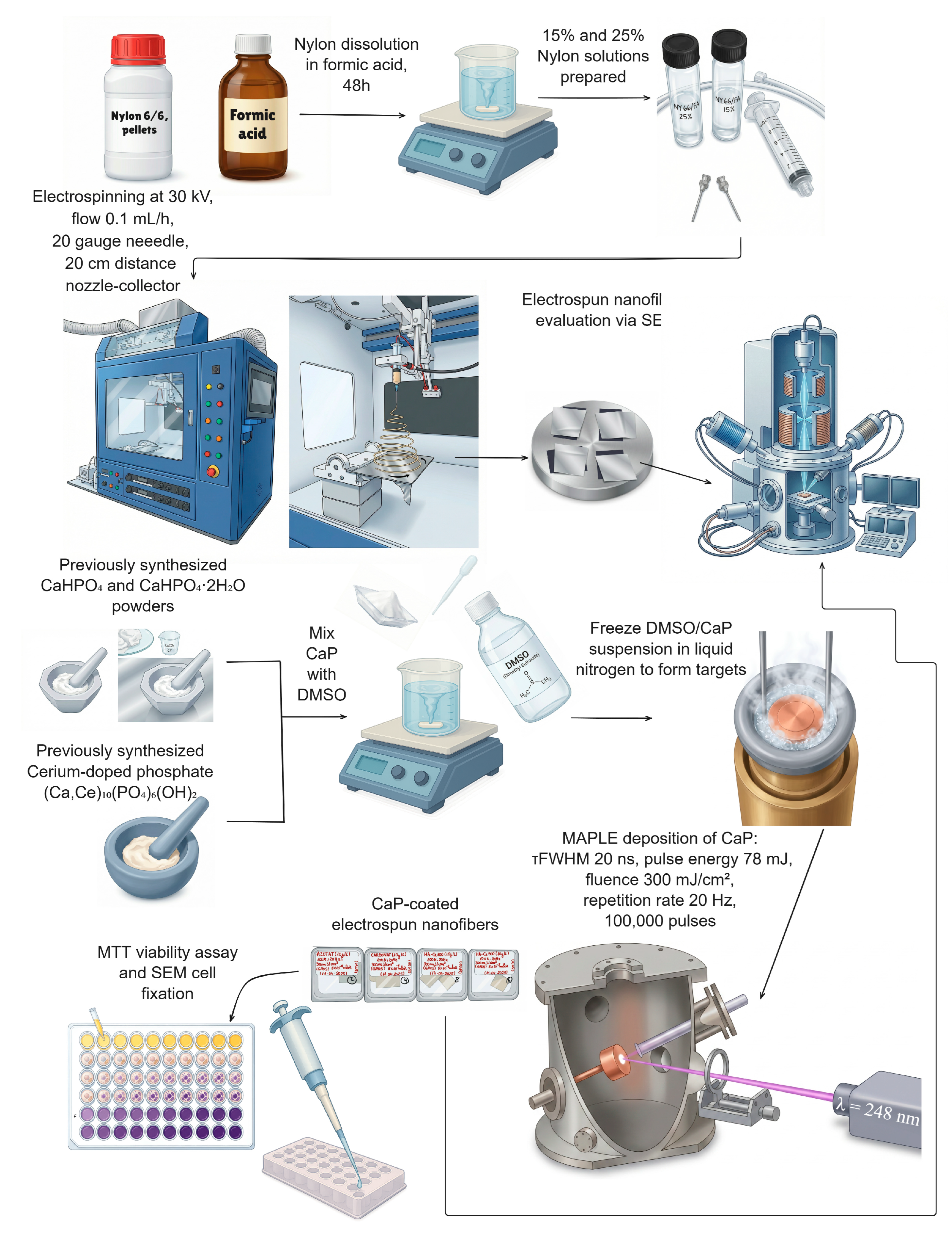 Preprints 210145 g001