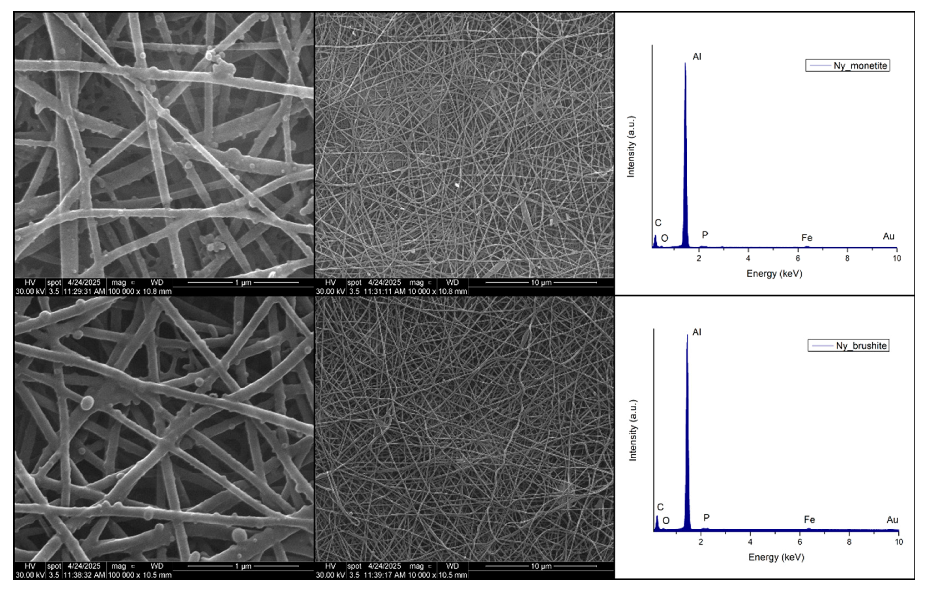 Preprints 210145 g003