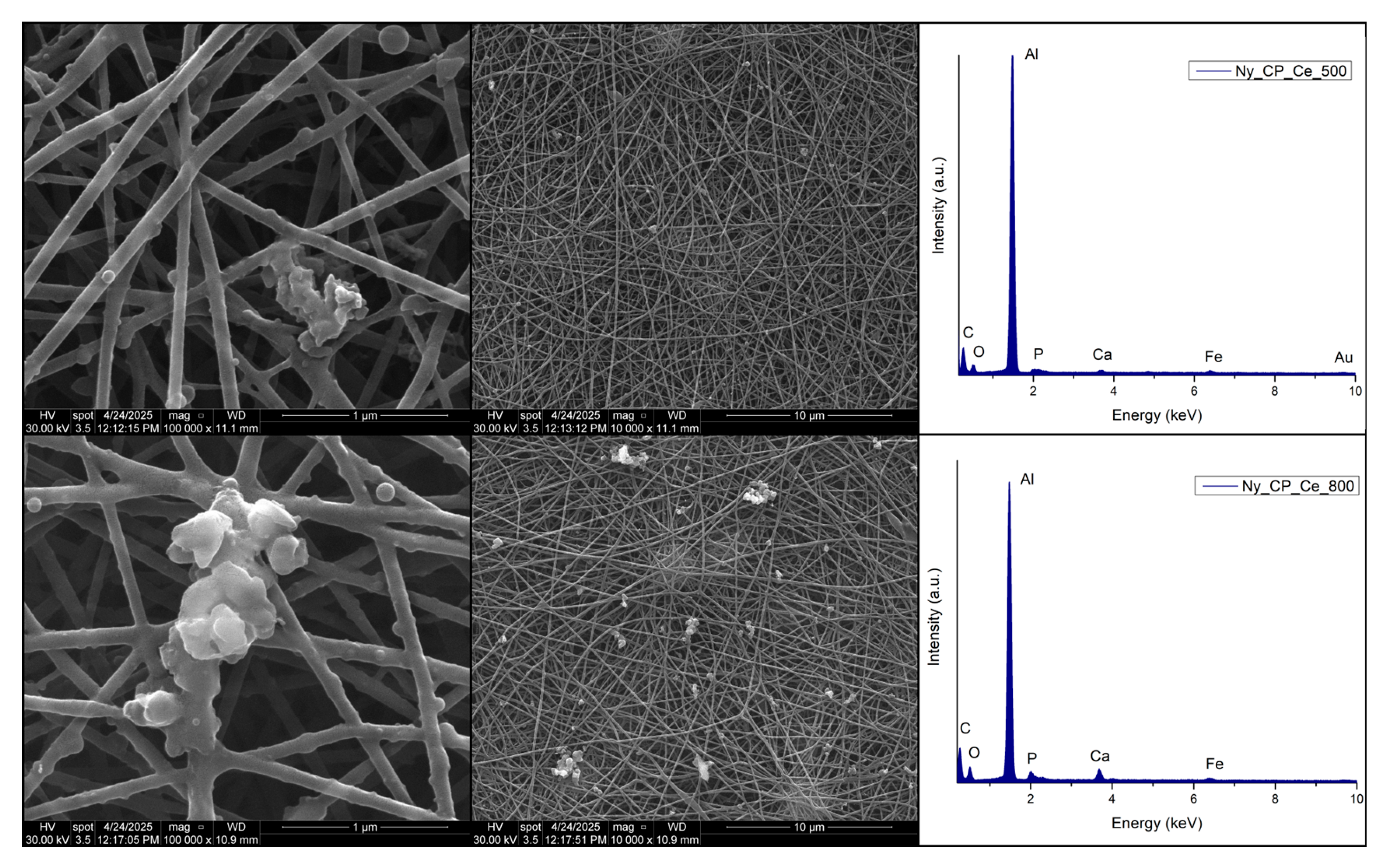 Preprints 210145 g004