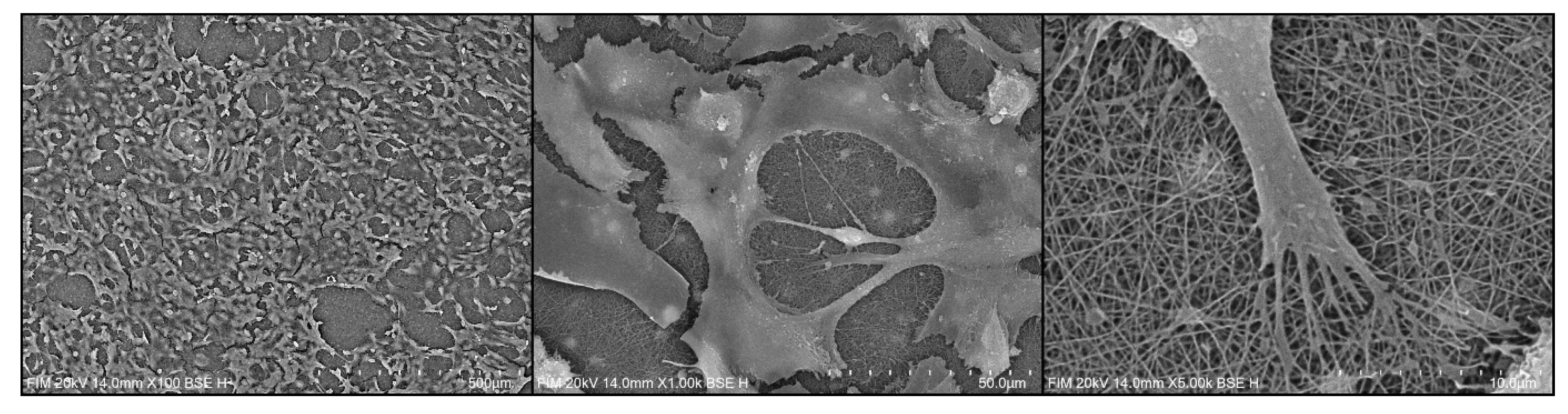 Preprints 210145 g009