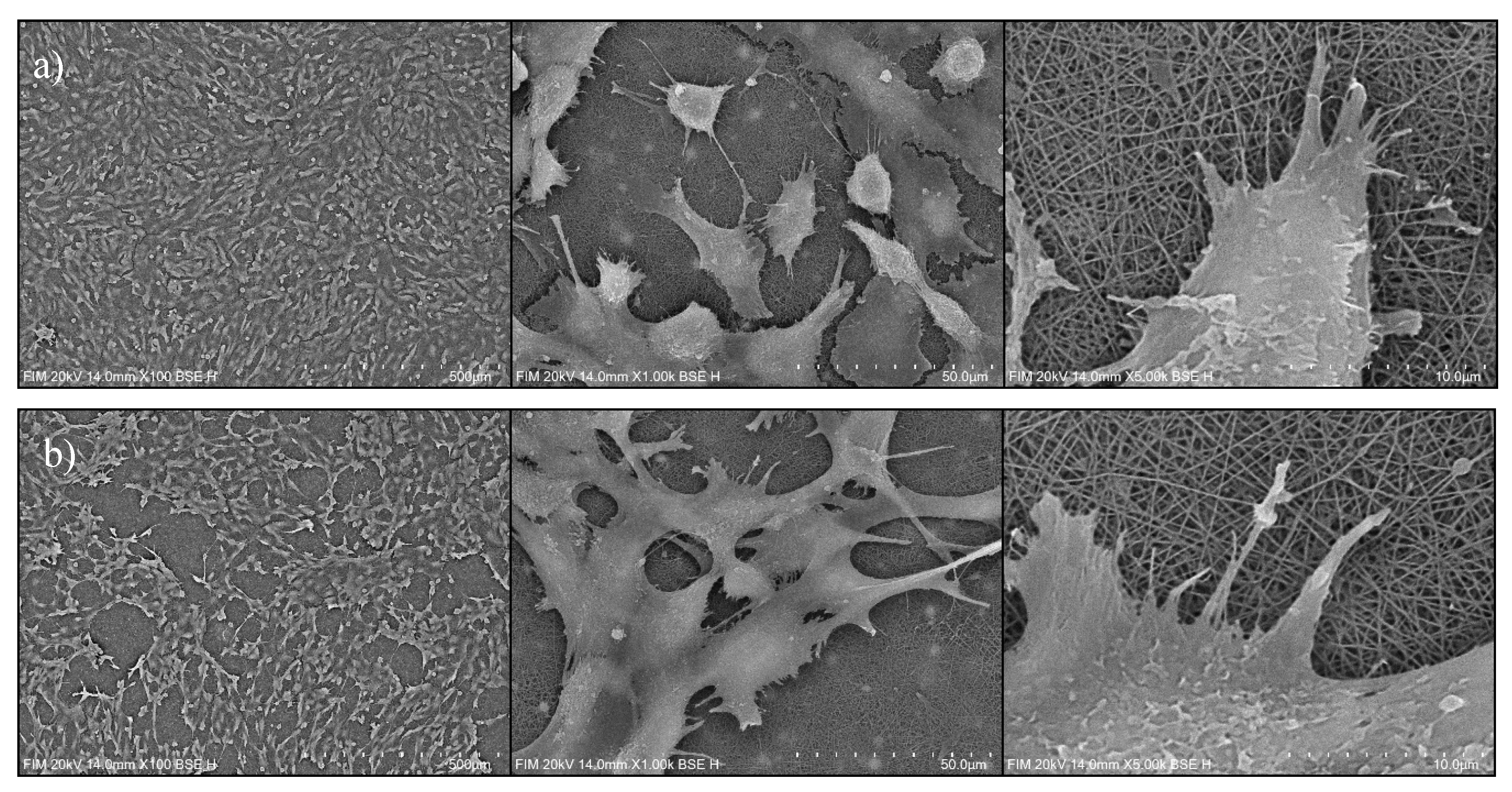 Preprints 210145 g010