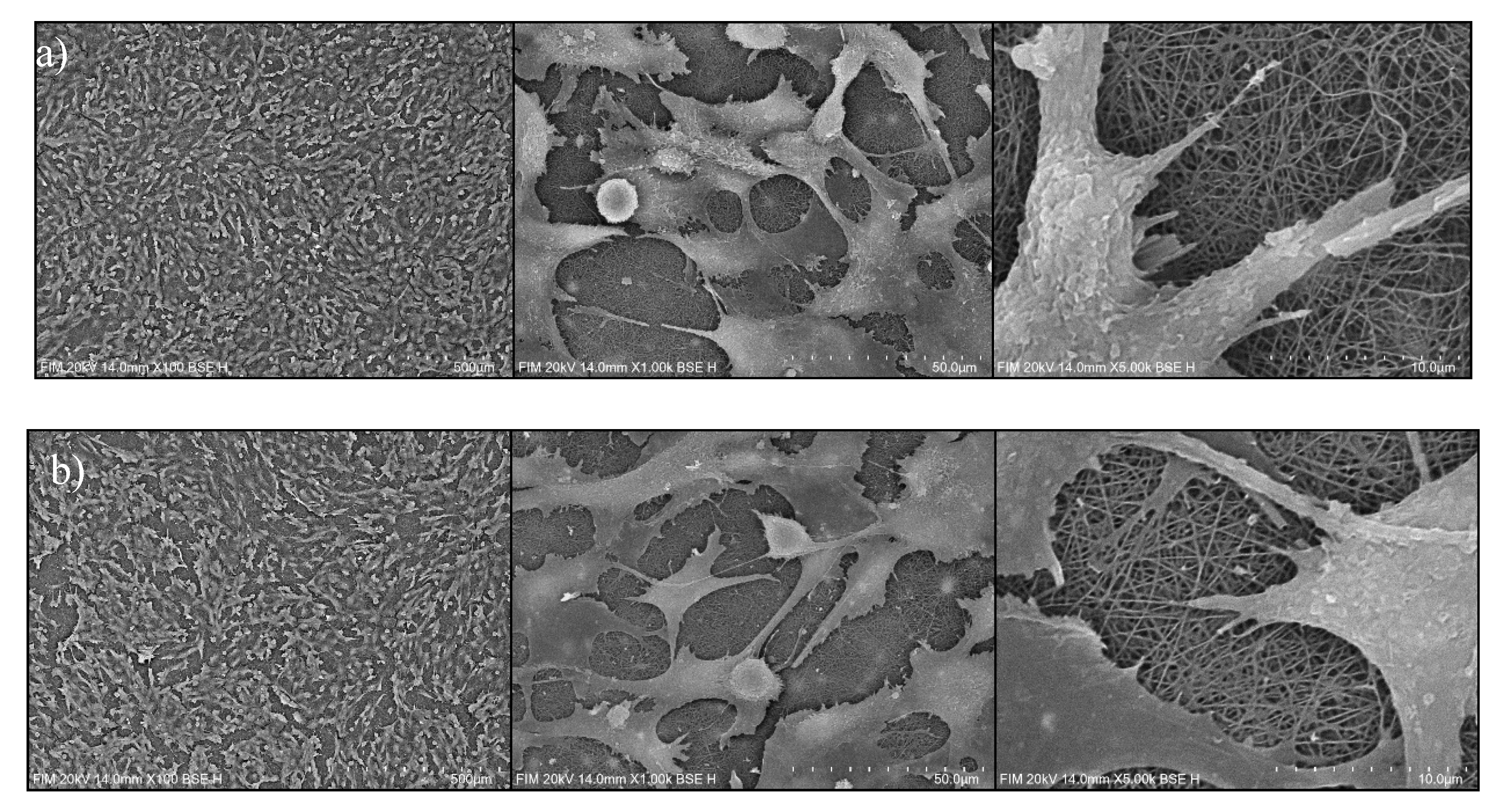 Preprints 210145 g011