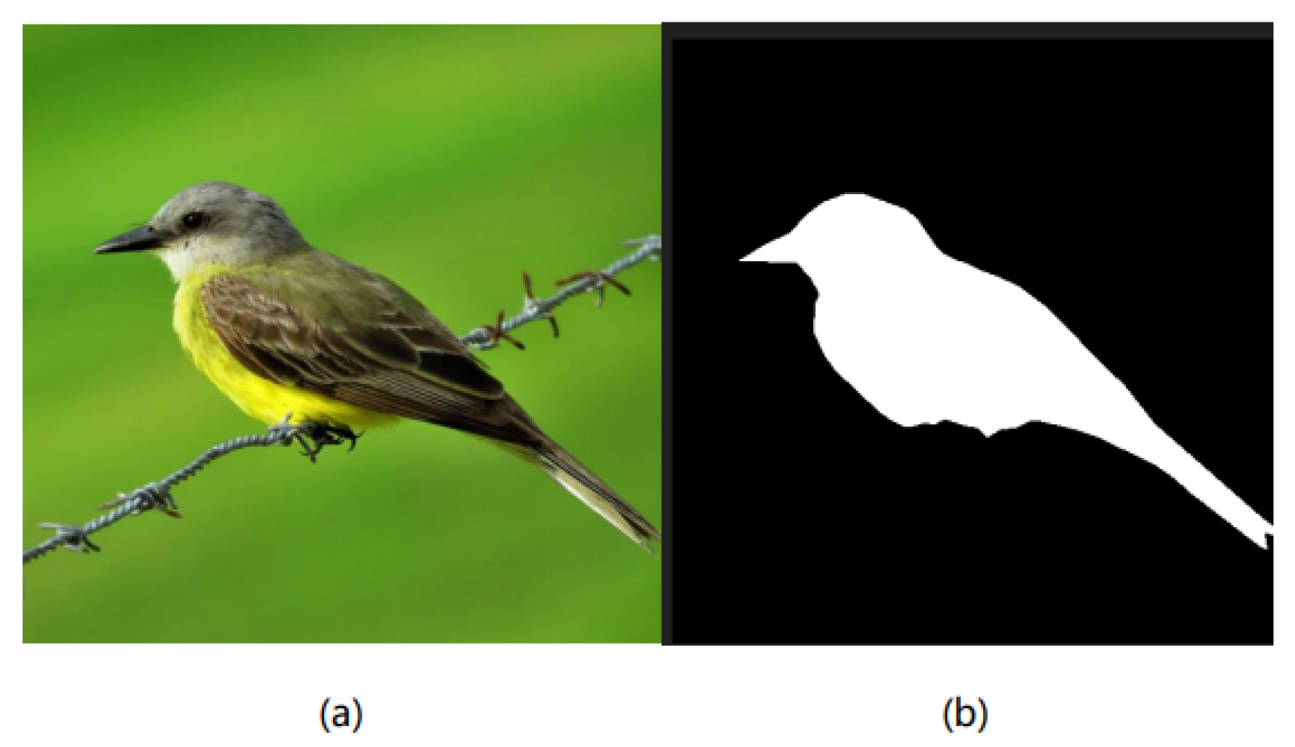 Preprints 154243 g007