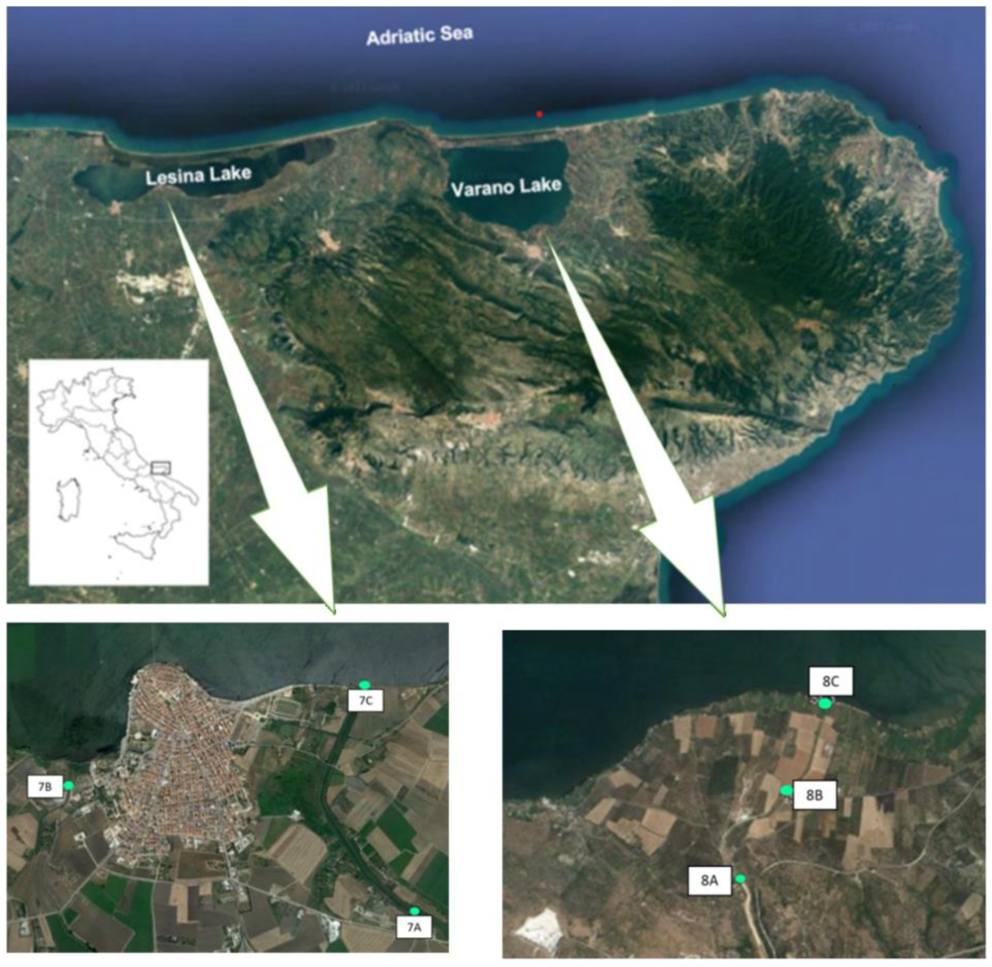 Preprints 194132 g002