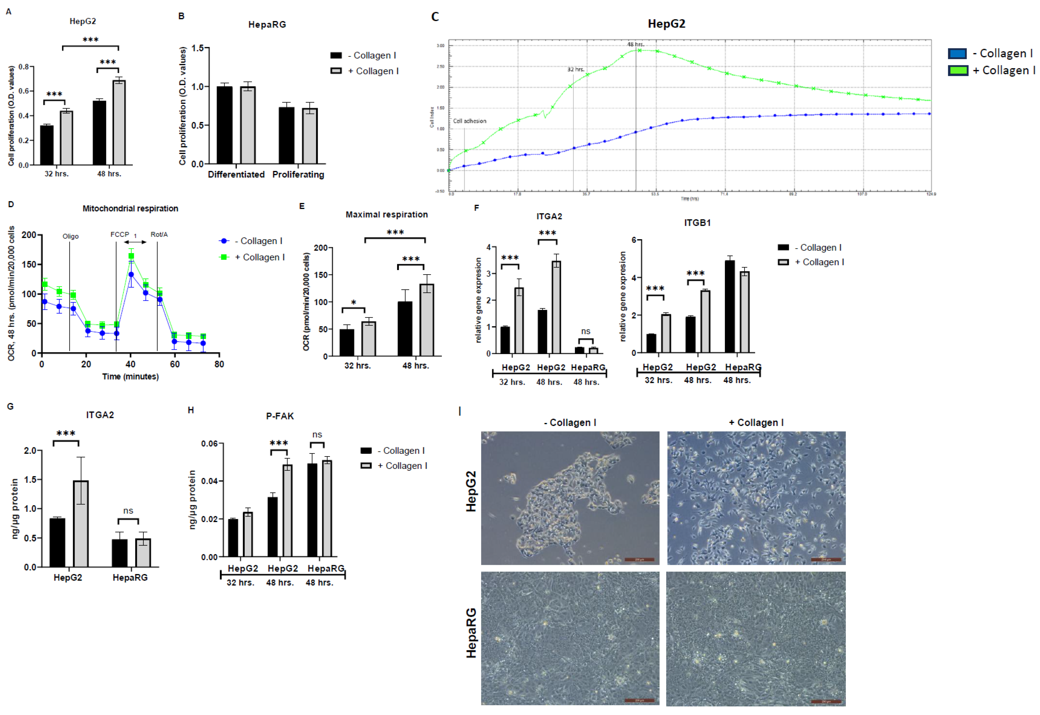 Preprints 114996 g001