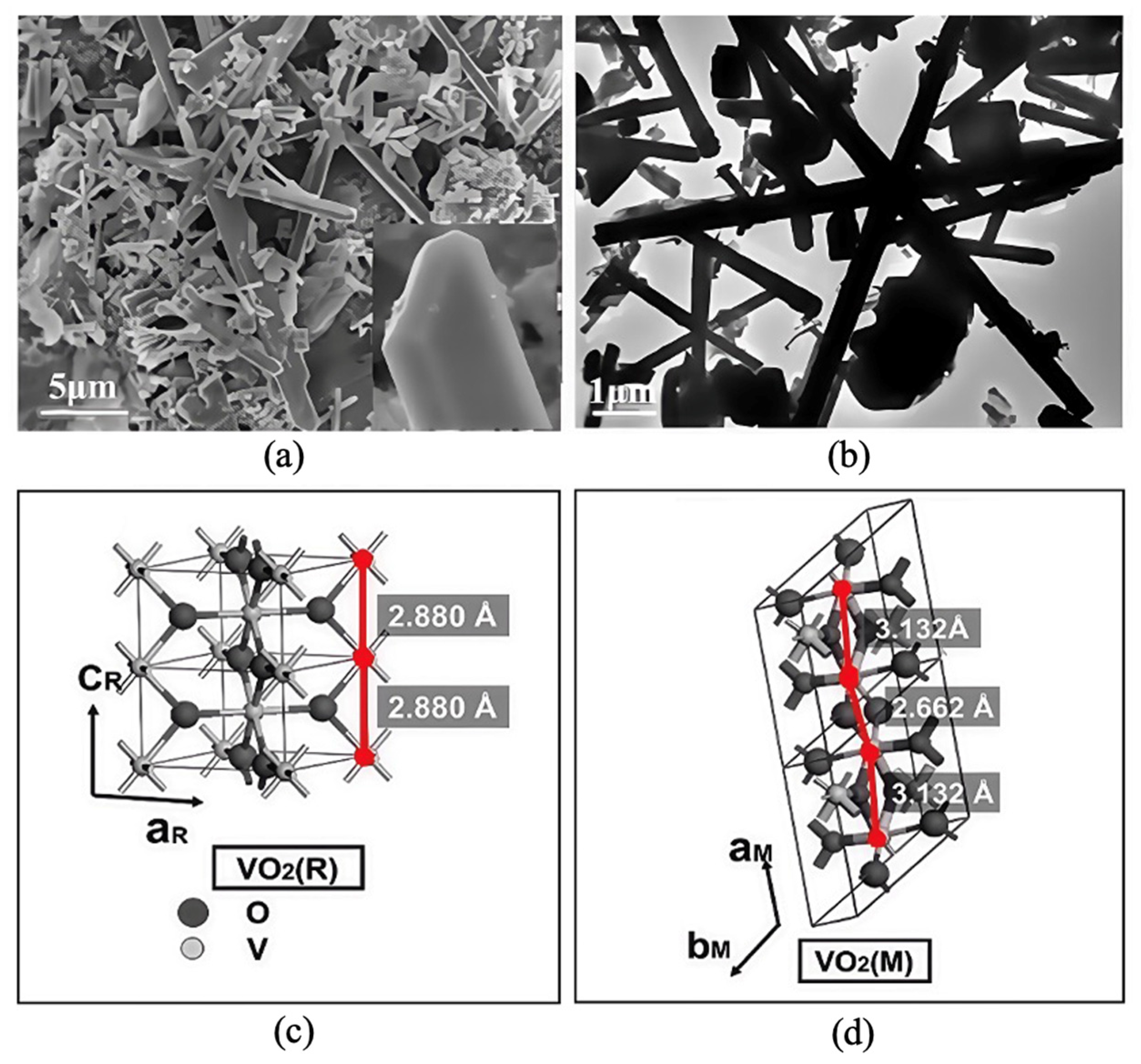Preprints 190913 g006