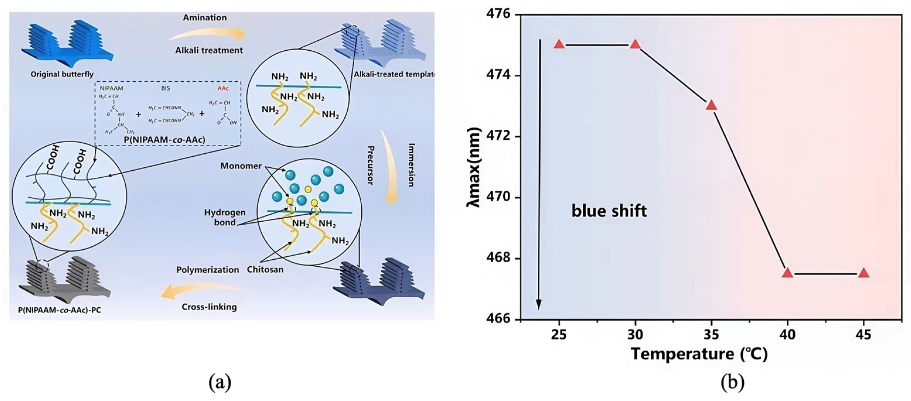 Preprints 190913 g009