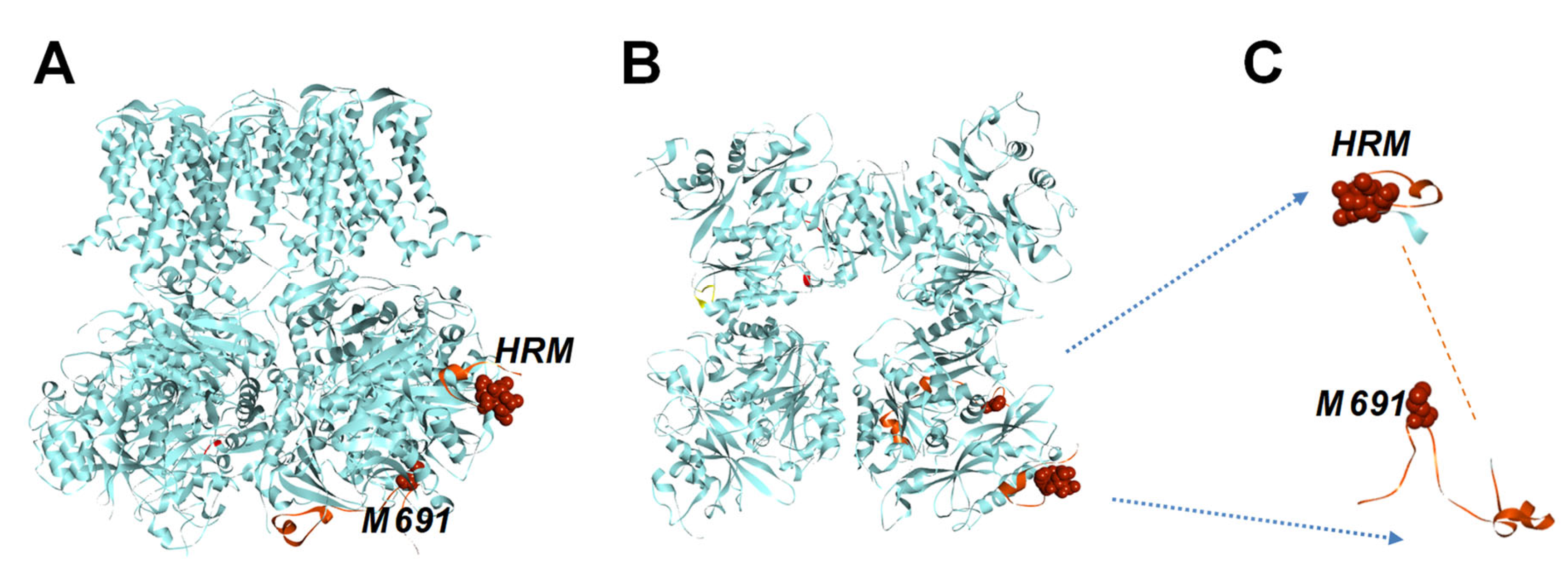 Preprints 151425 g001