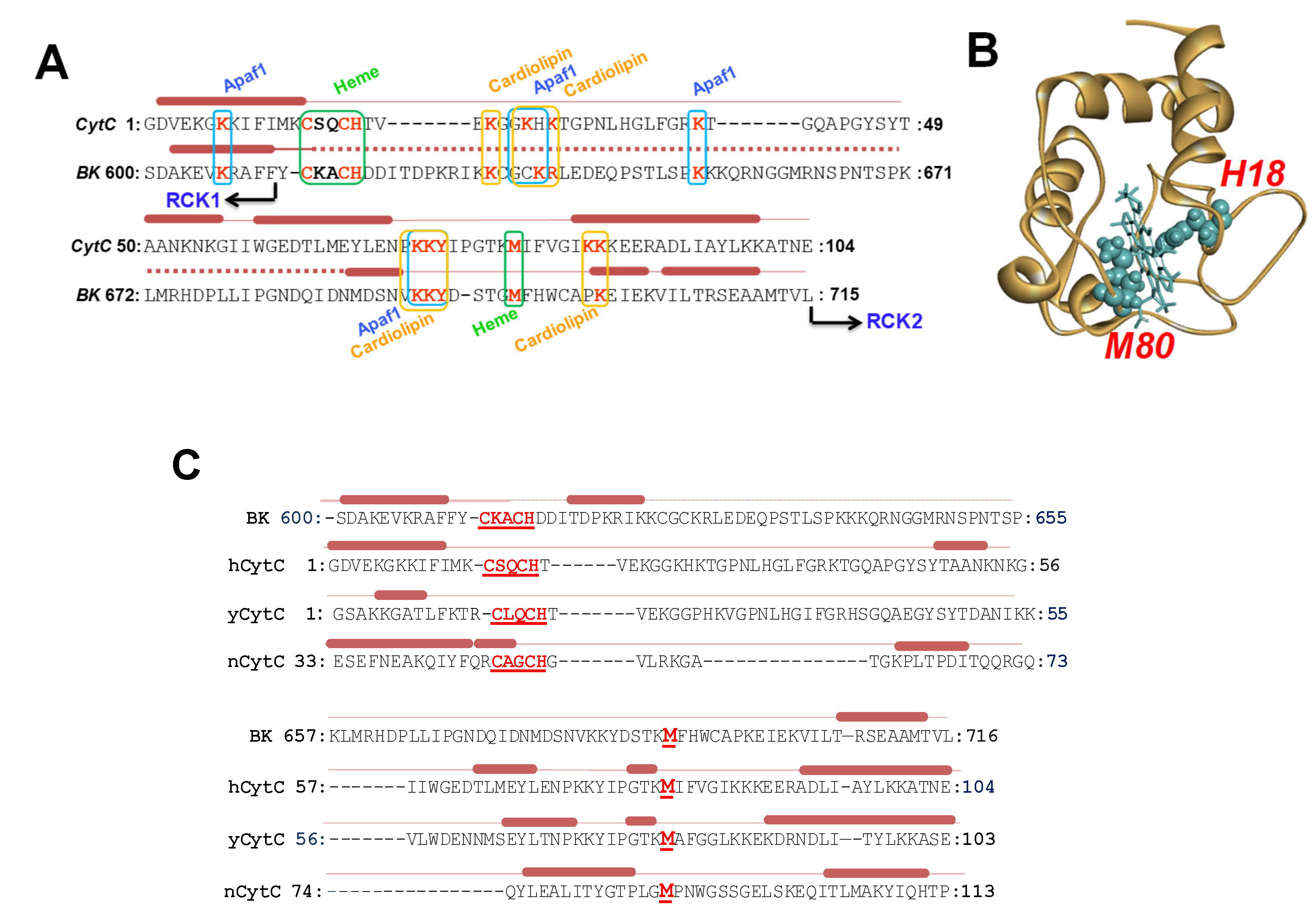 Preprints 151425 g002