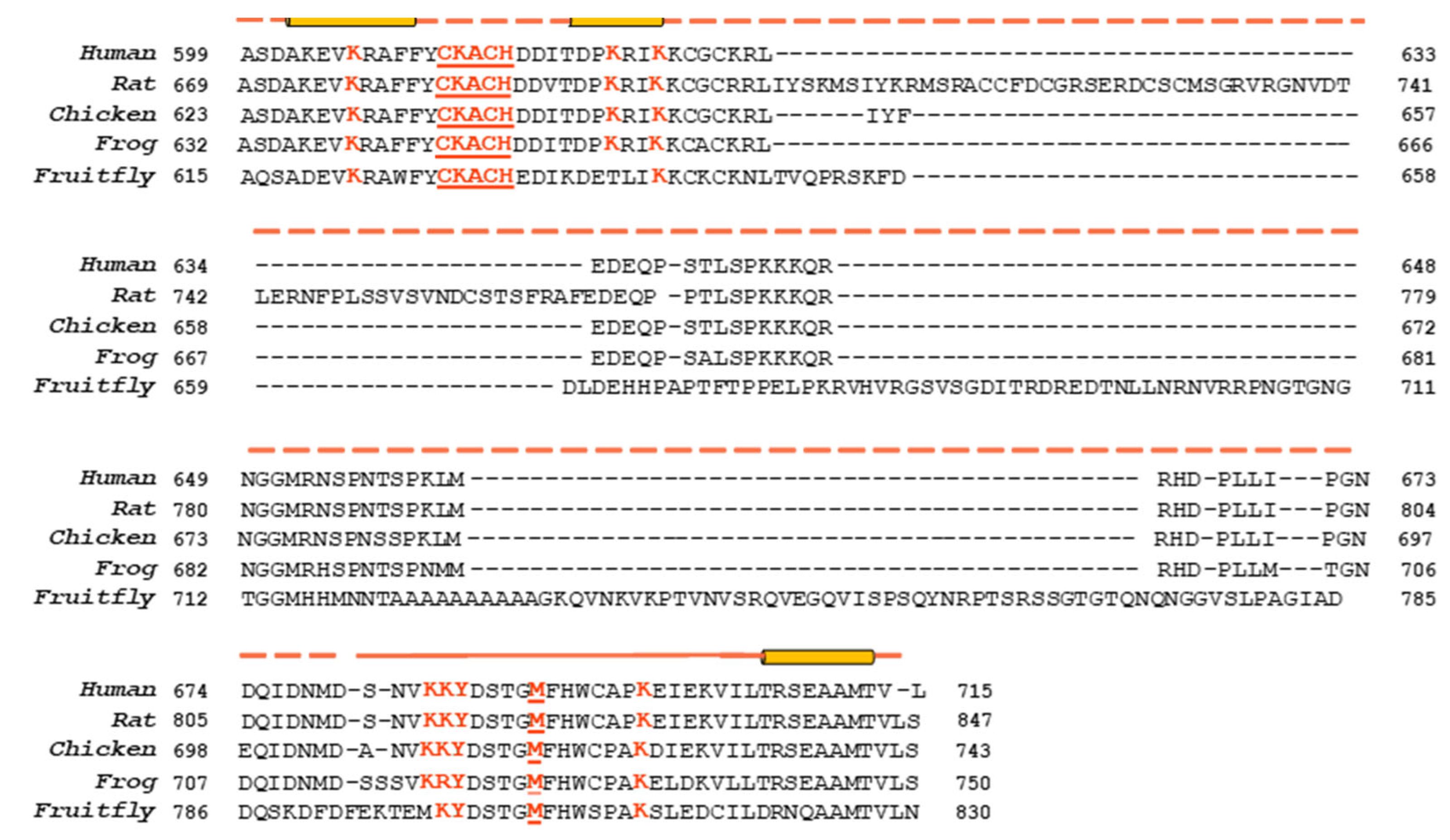 Preprints 151425 g004