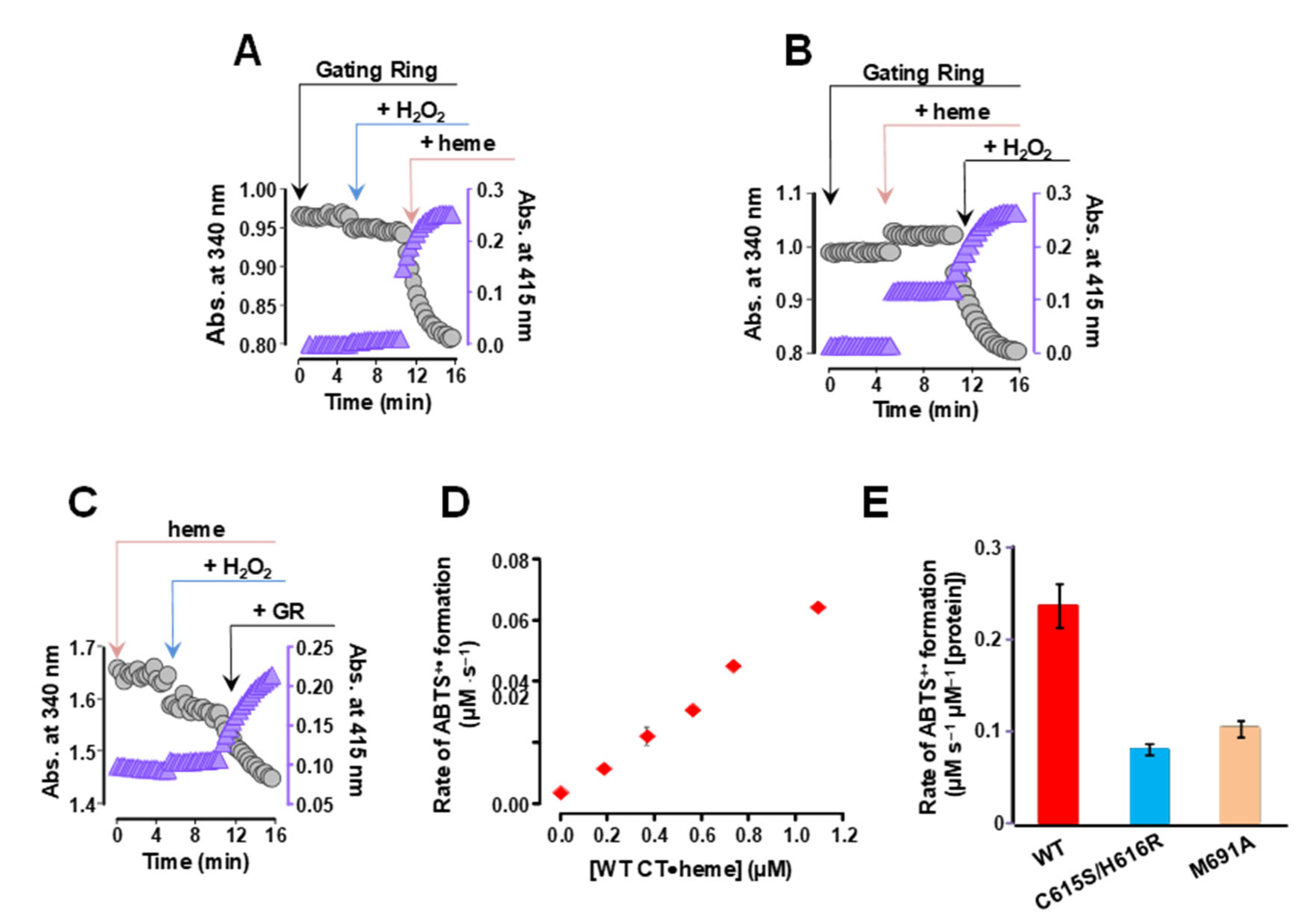 Preprints 151425 g005