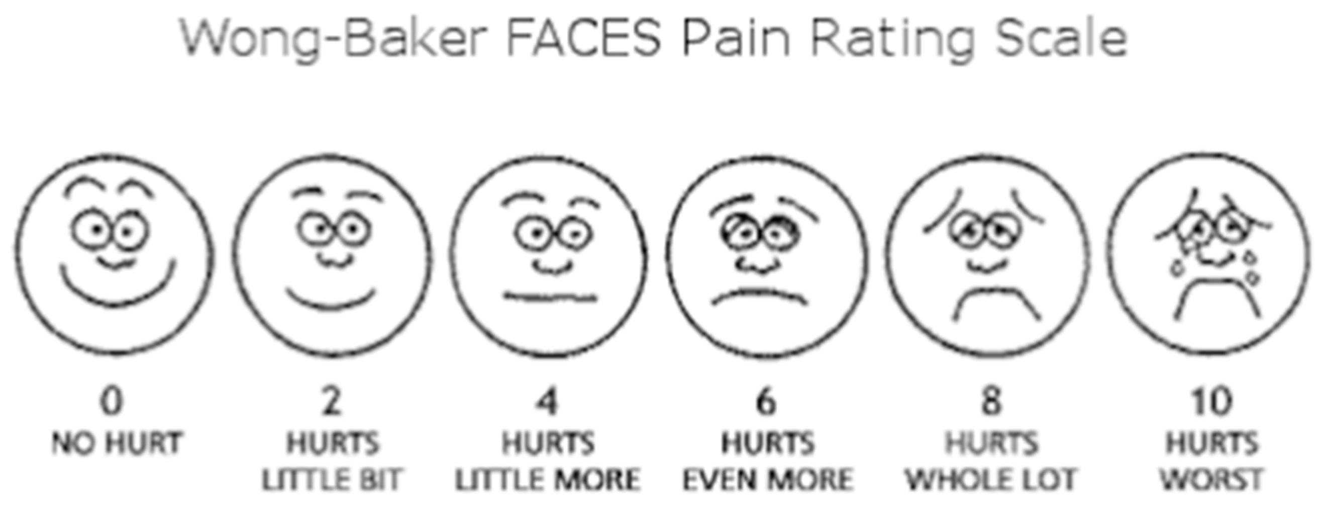 Preprints 82979 g002