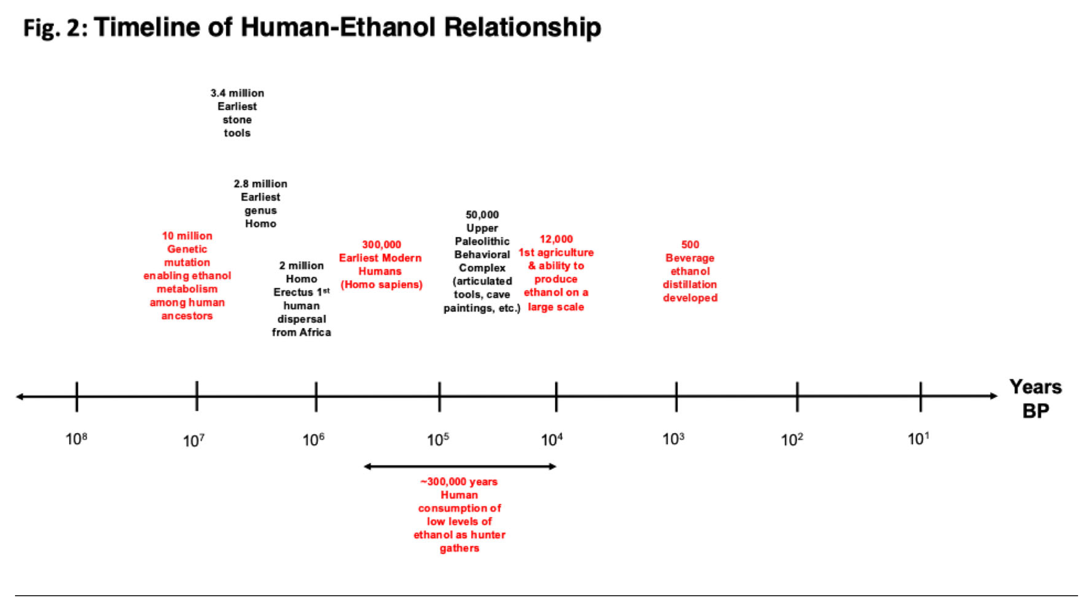 Preprints 181676 g002