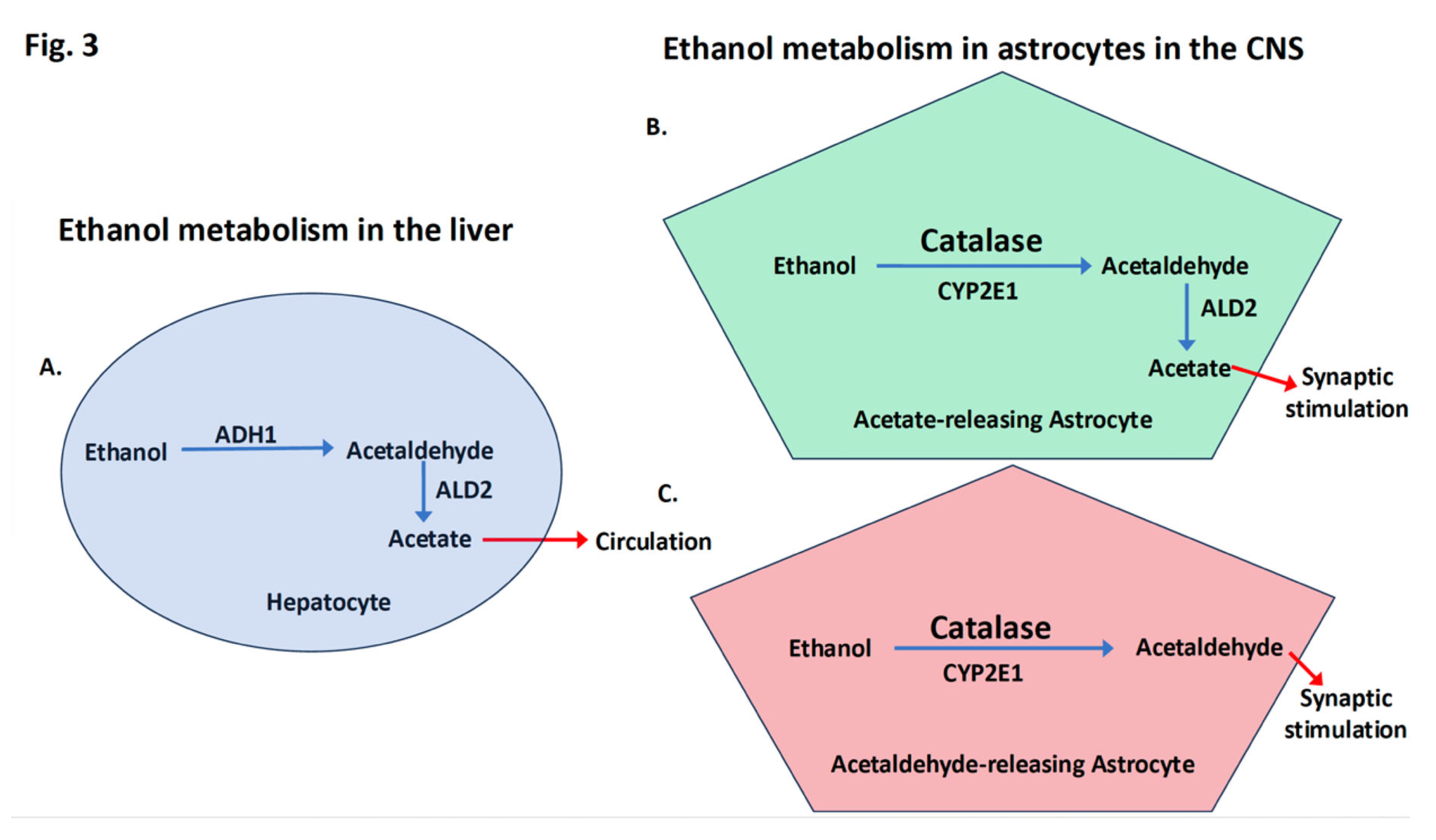 Preprints 181676 g003
