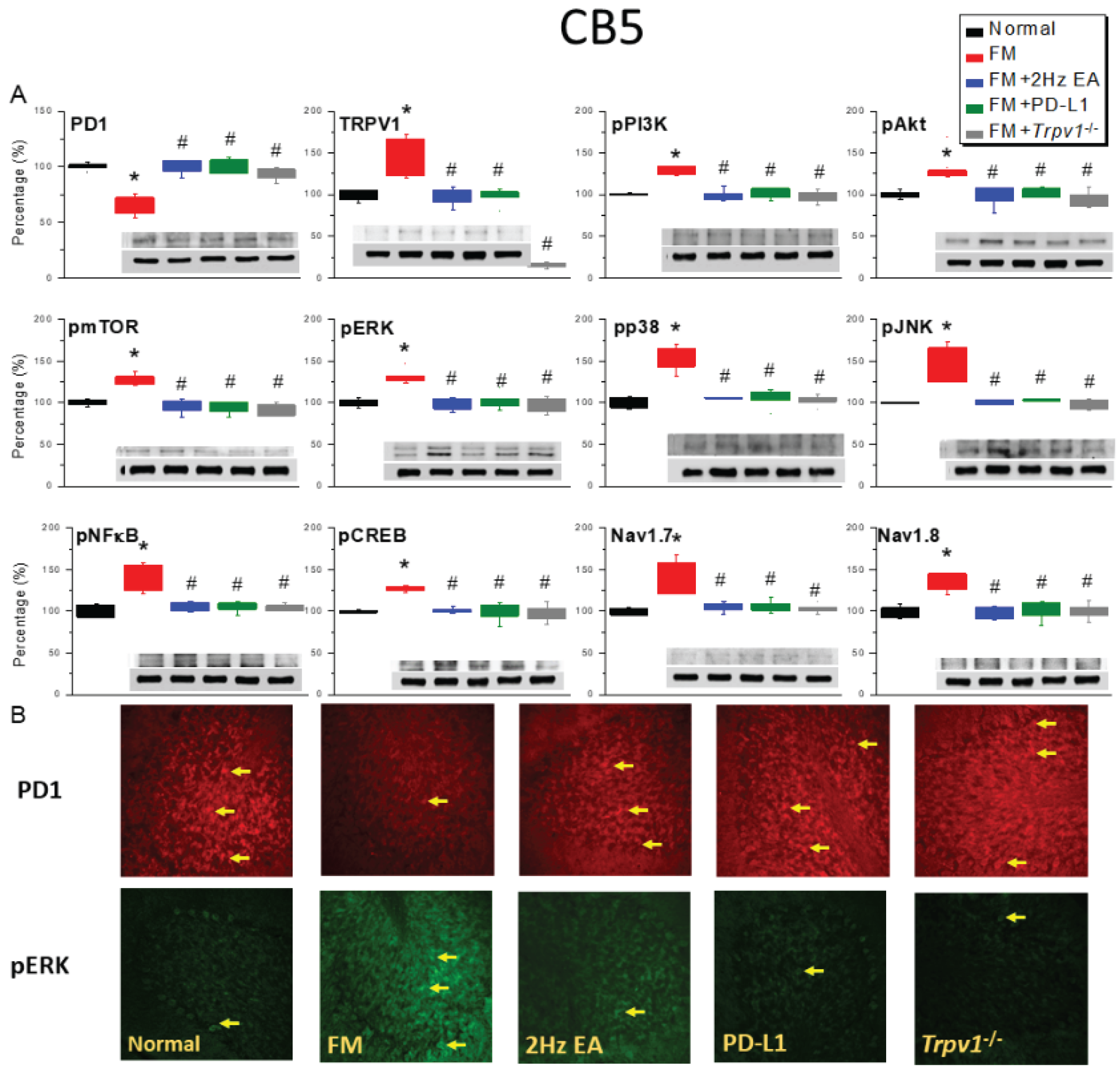 Preprints 193302 g002