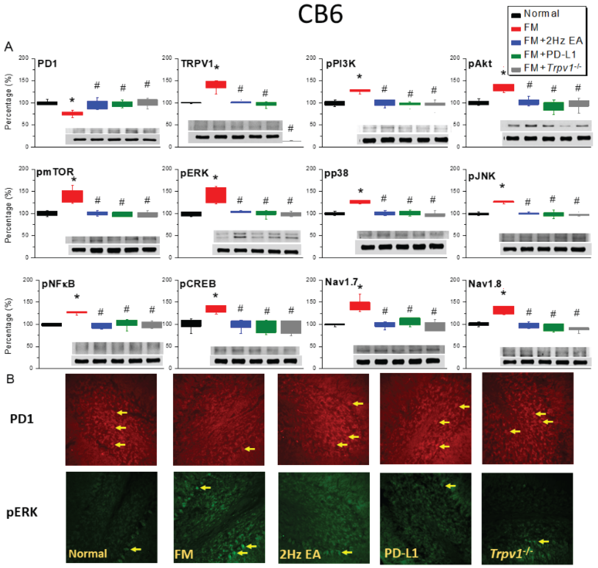 Preprints 193302 g003