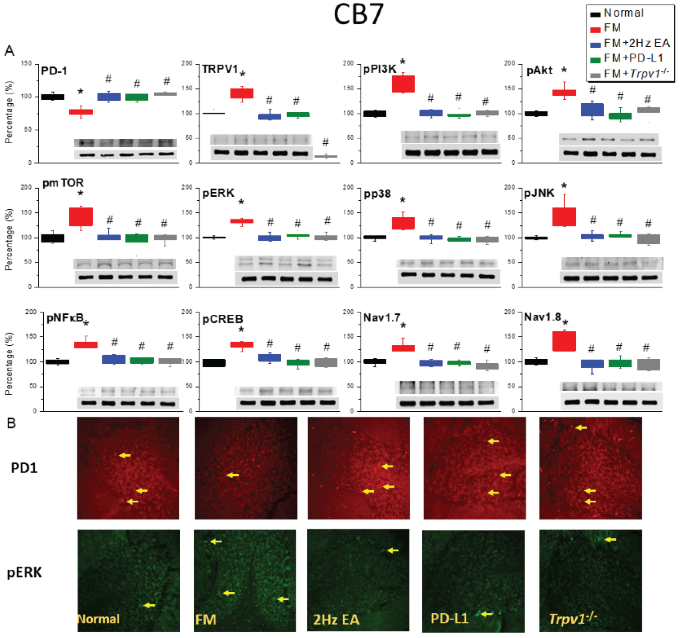 Preprints 193302 g004