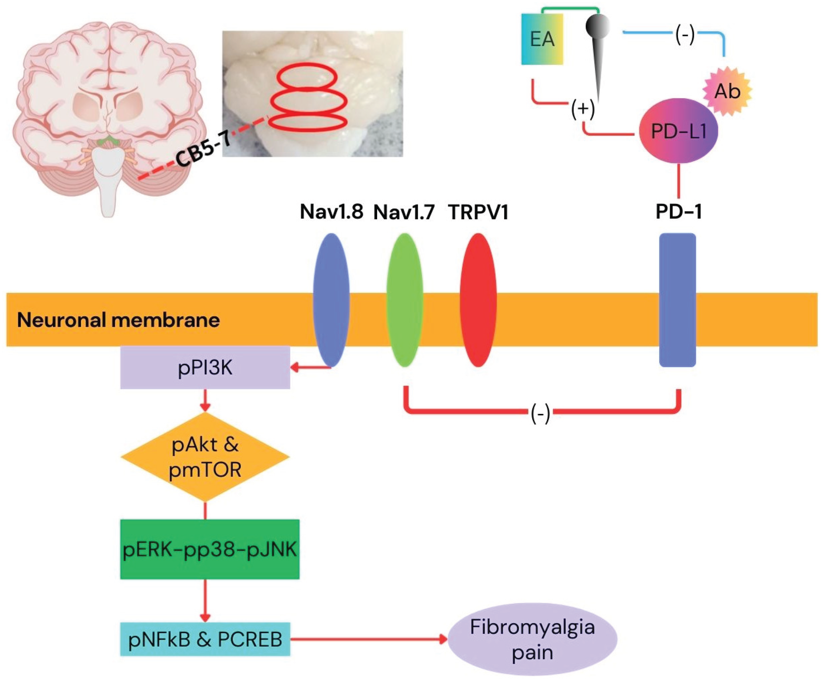 Preprints 193302 g009