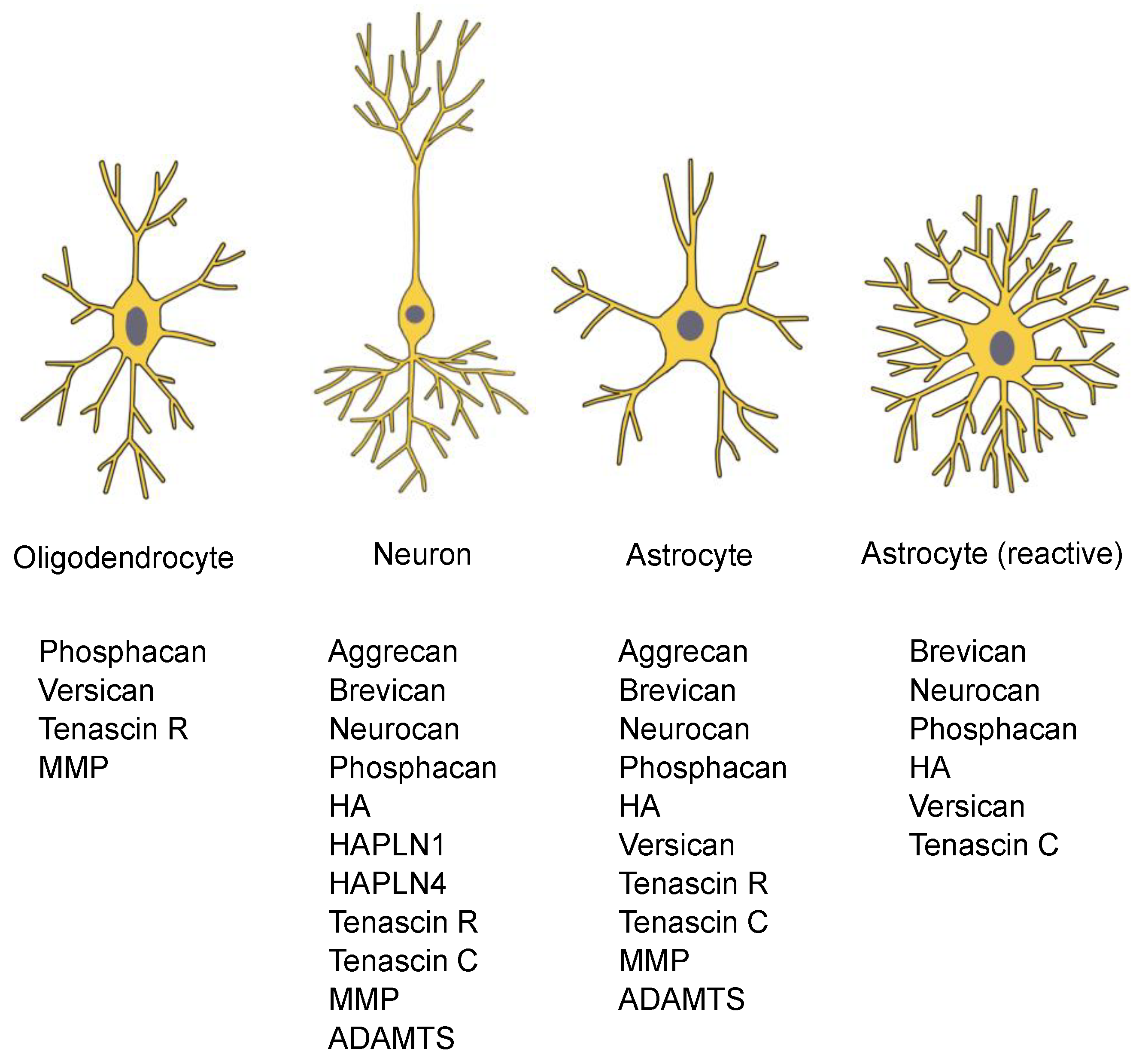 Preprints 147685 g001