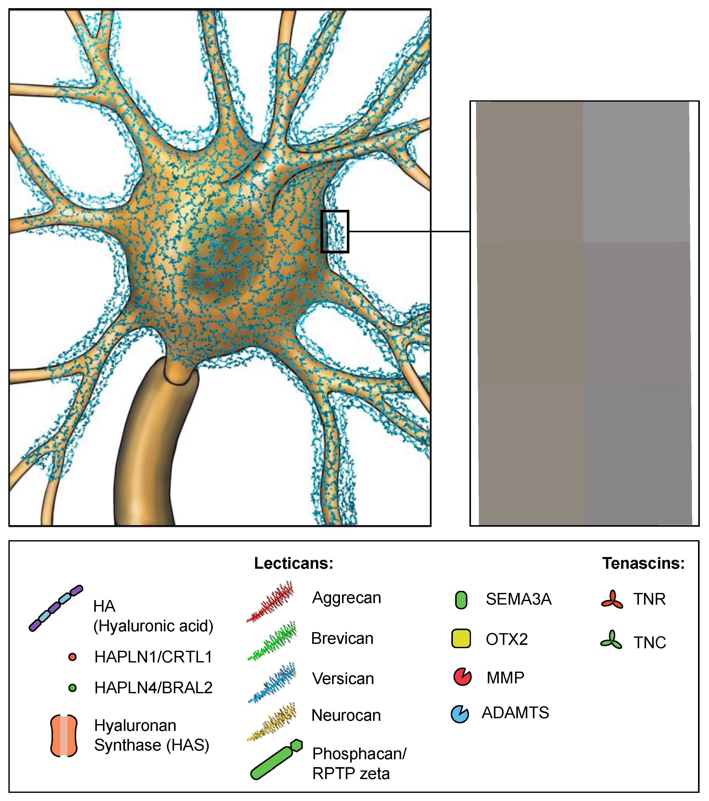 Preprints 147685 g002