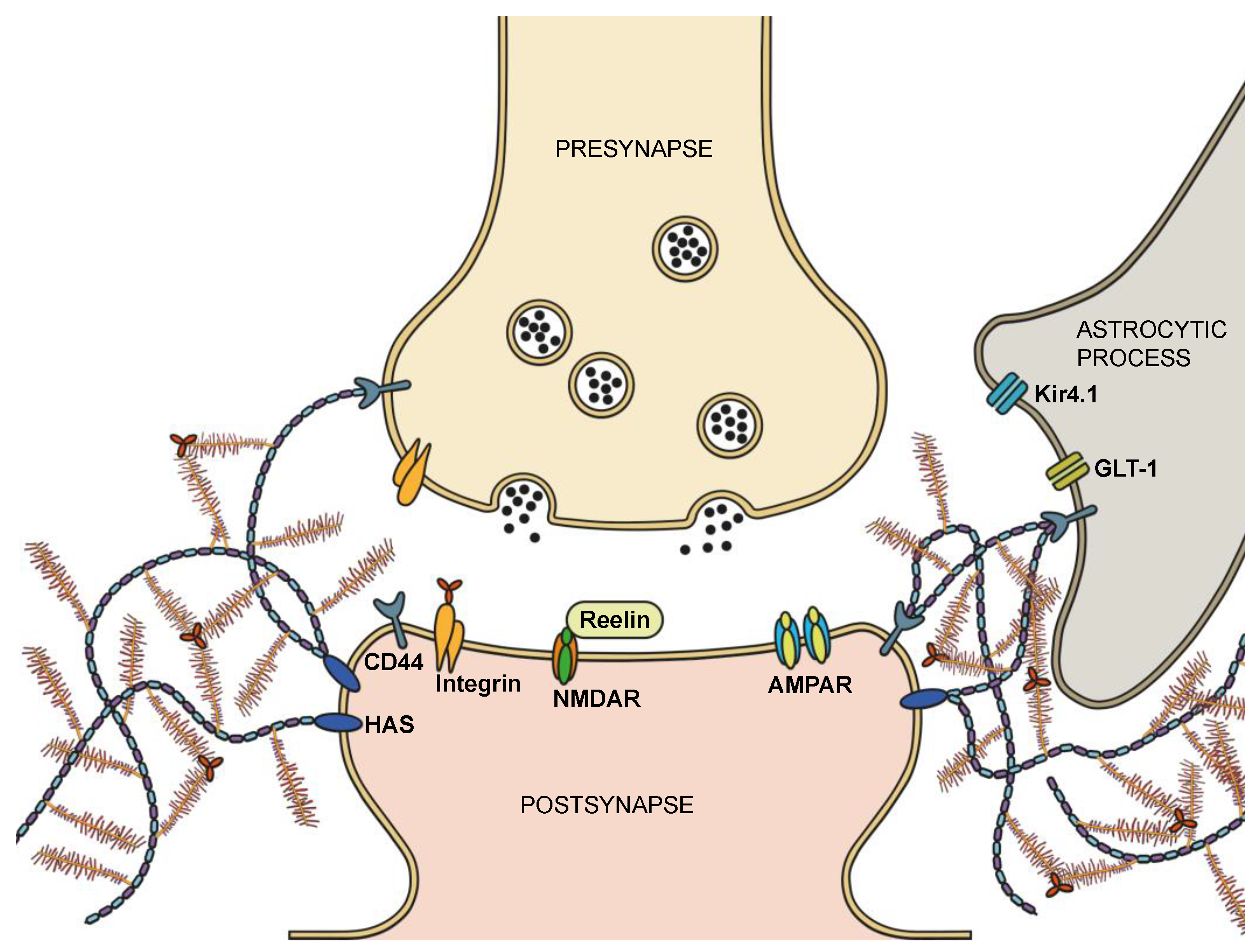 Preprints 147685 g003