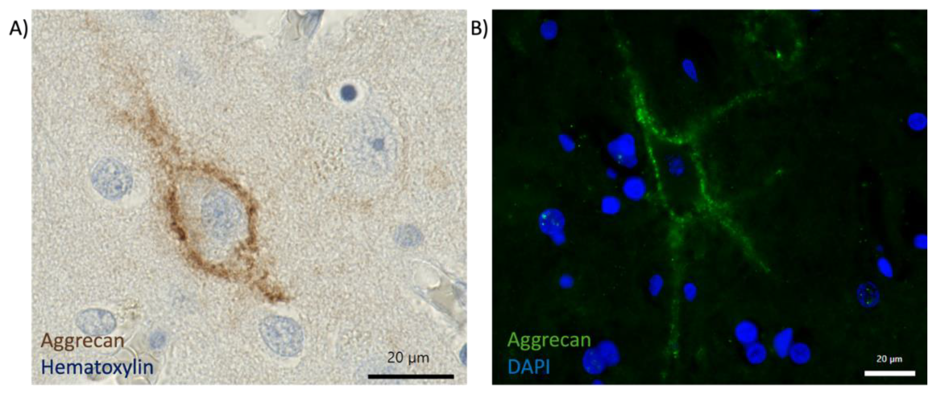 Preprints 147685 g004