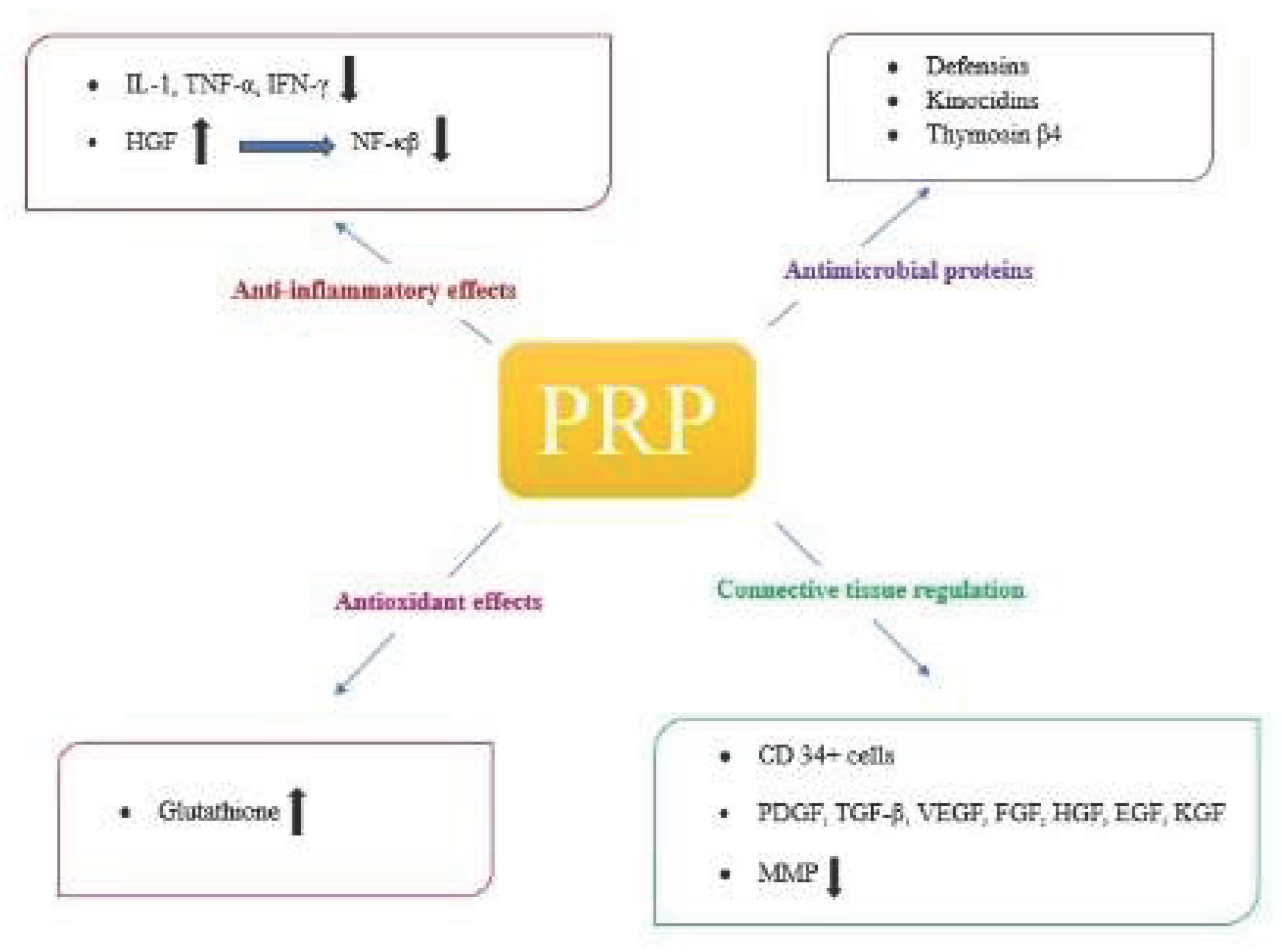 Preprints 217077 g002 Preprints 217077 g002