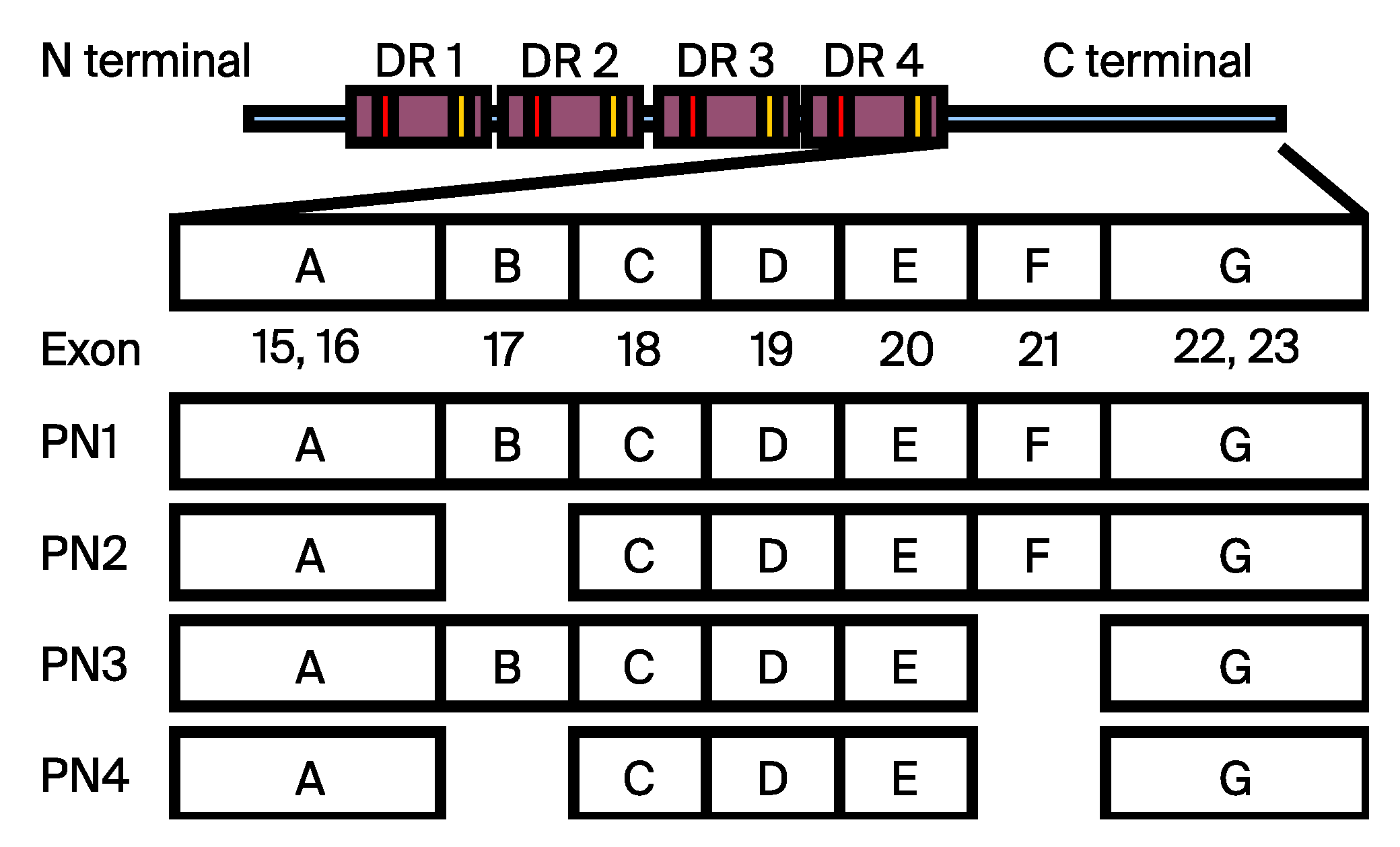 Preprints 189684 g001