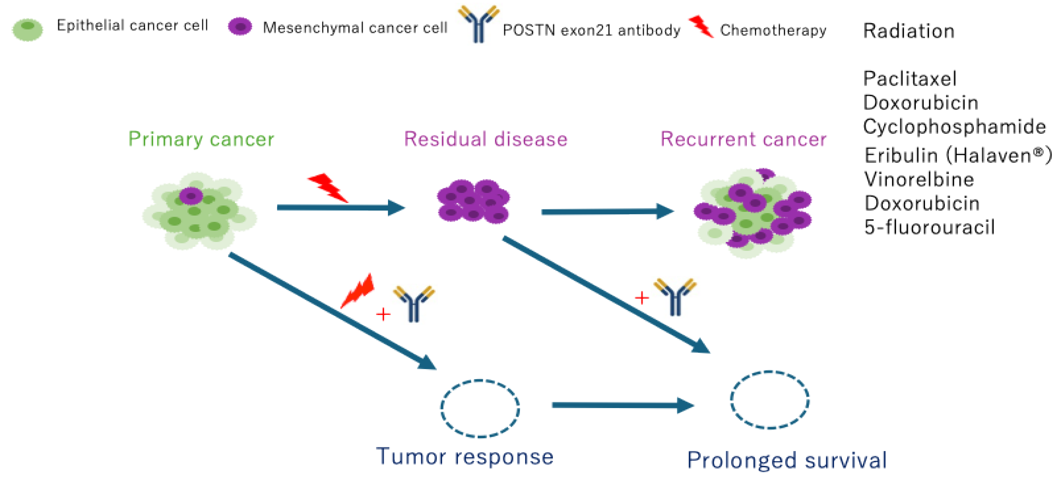 Preprints 189684 g006