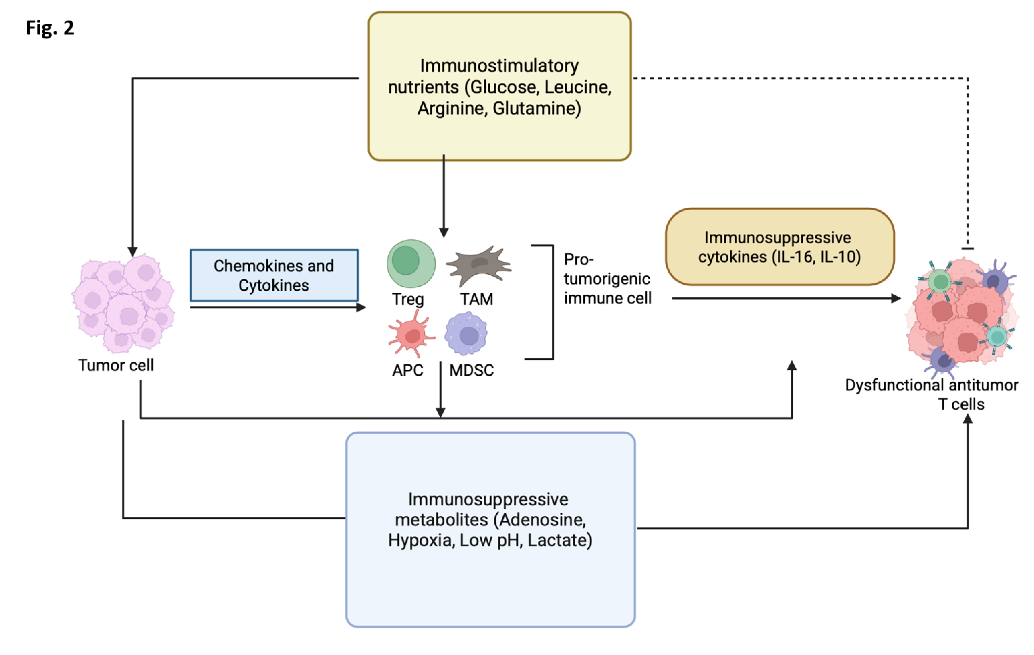 glutathione saladin B Cells and Tumor Immunometabolism: Emerging Insights into Immune Regulation and Therapeutic Resistance[v1] Join us for free