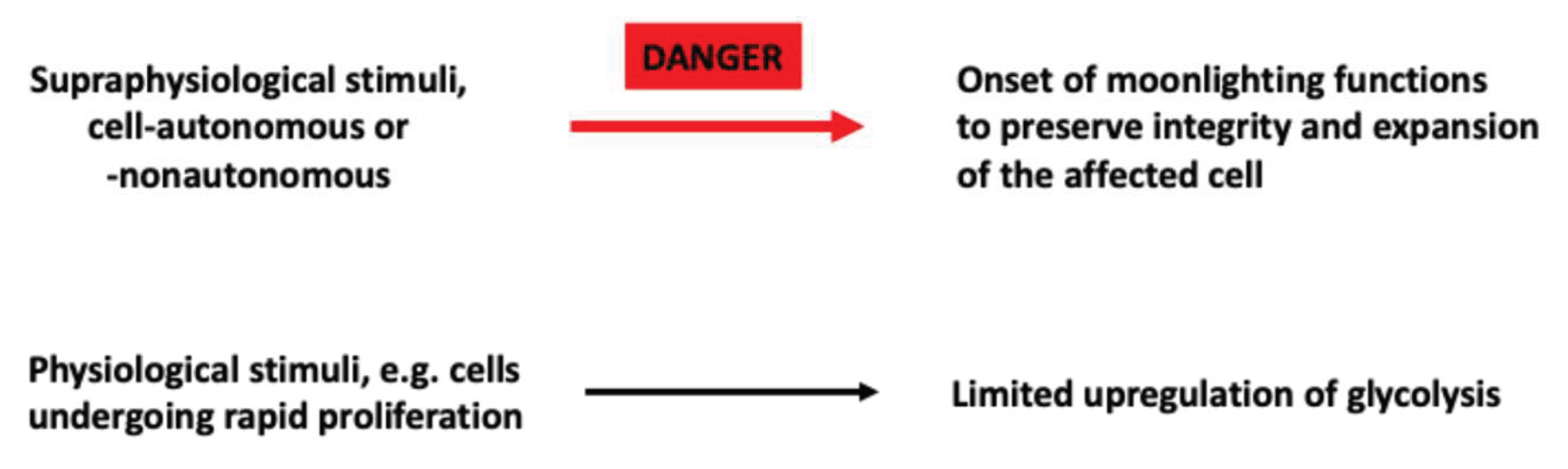 Preprints 198535 g004