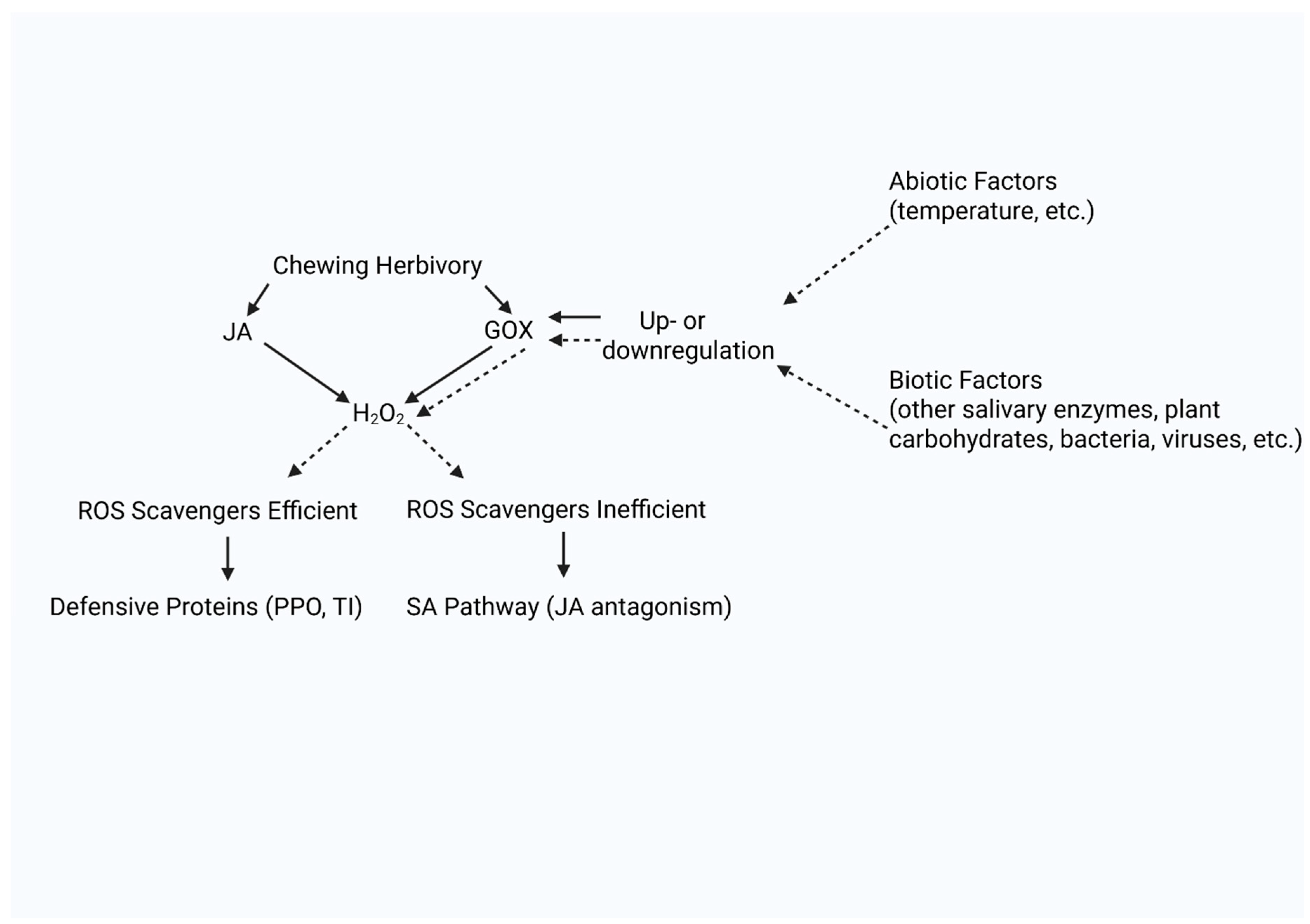 Preprints 162384 g001