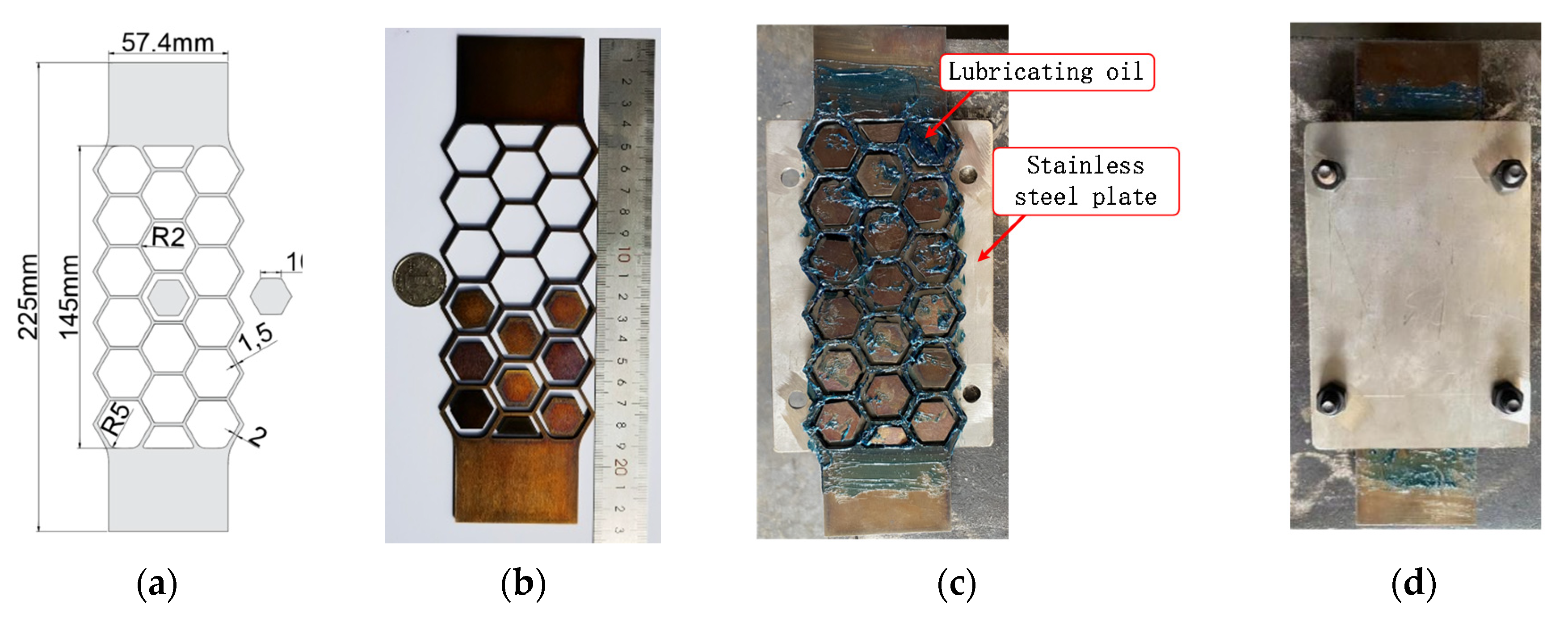 Preprints 90075 g005