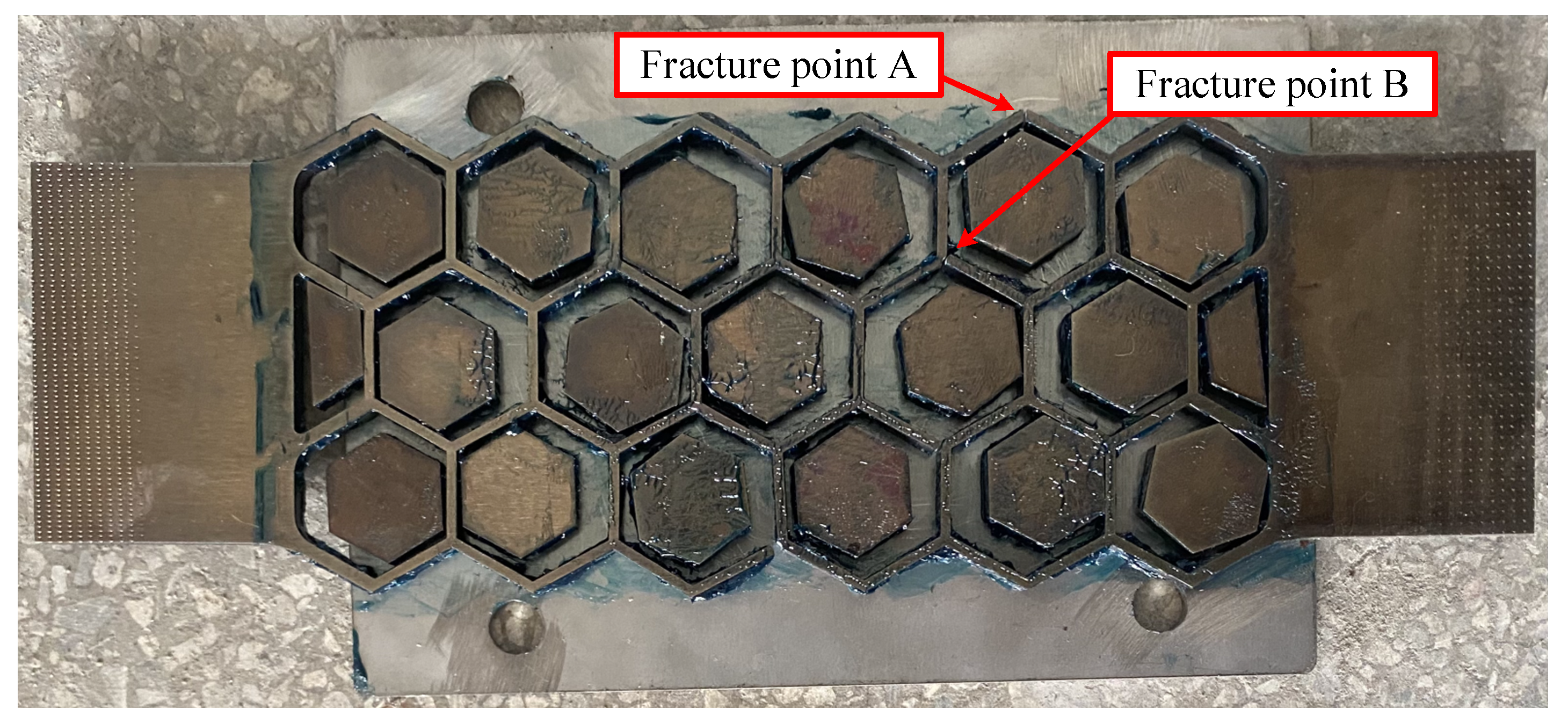 Preprints 90075 g008