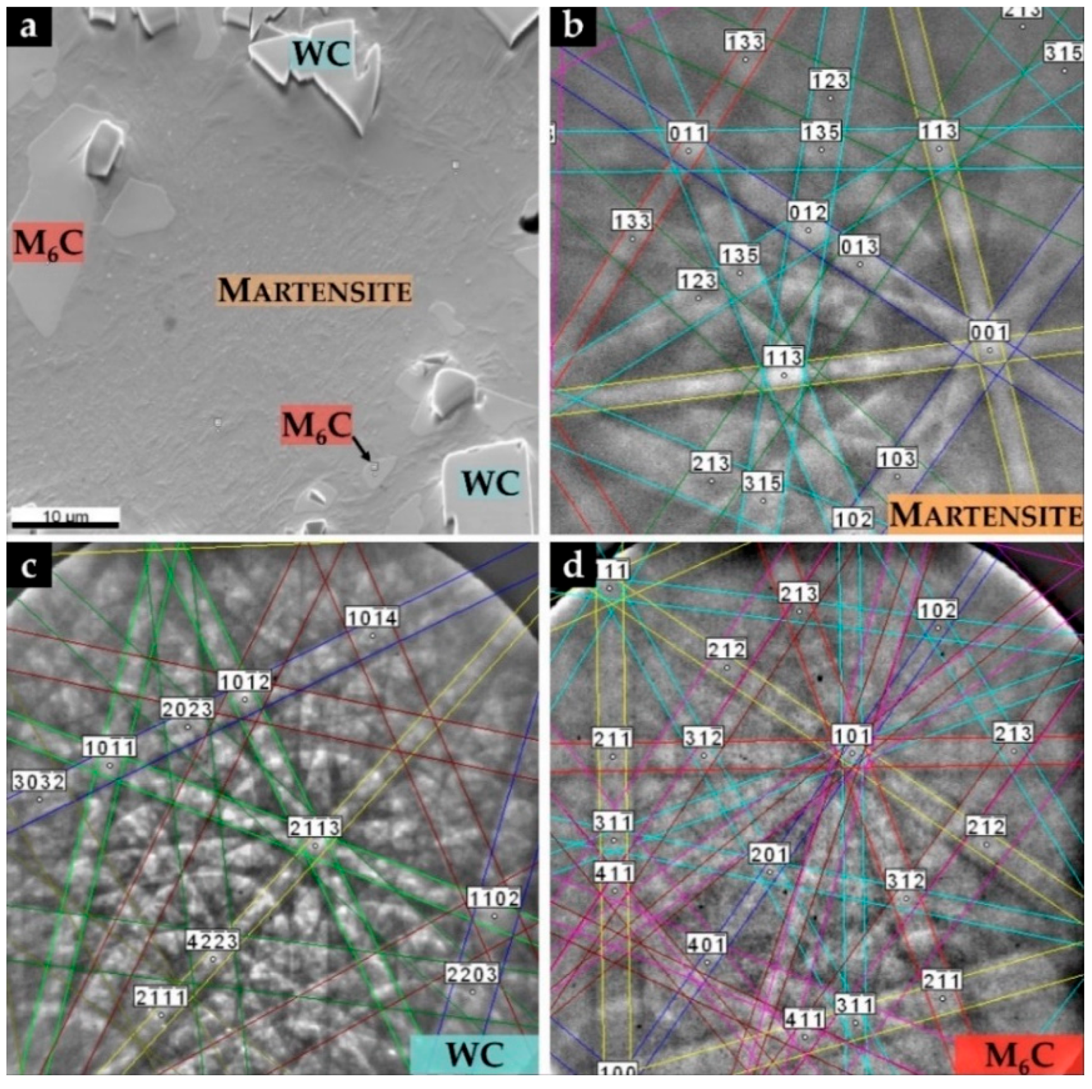 Preprints 171847 g006