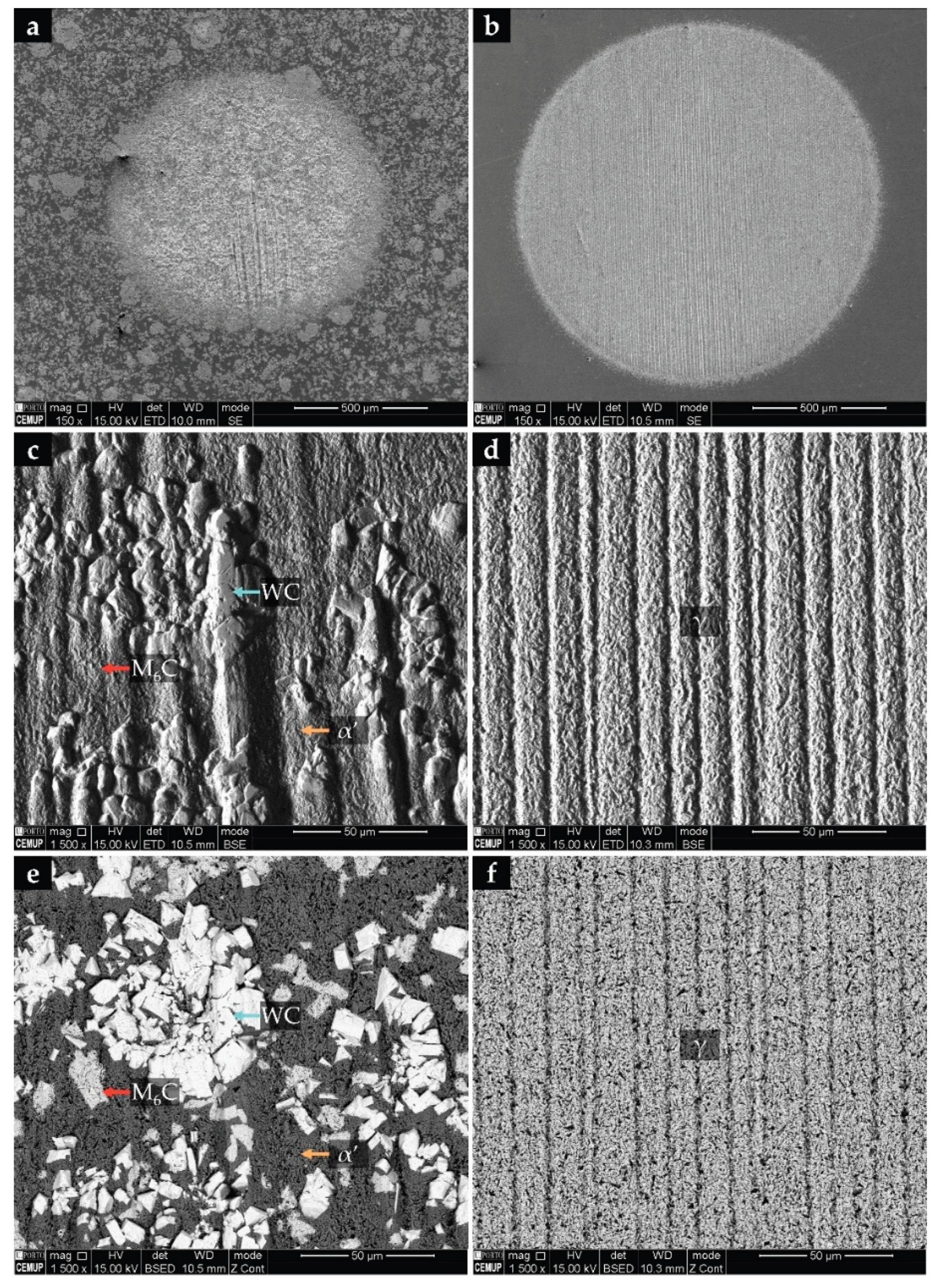 Preprints 171847 g012