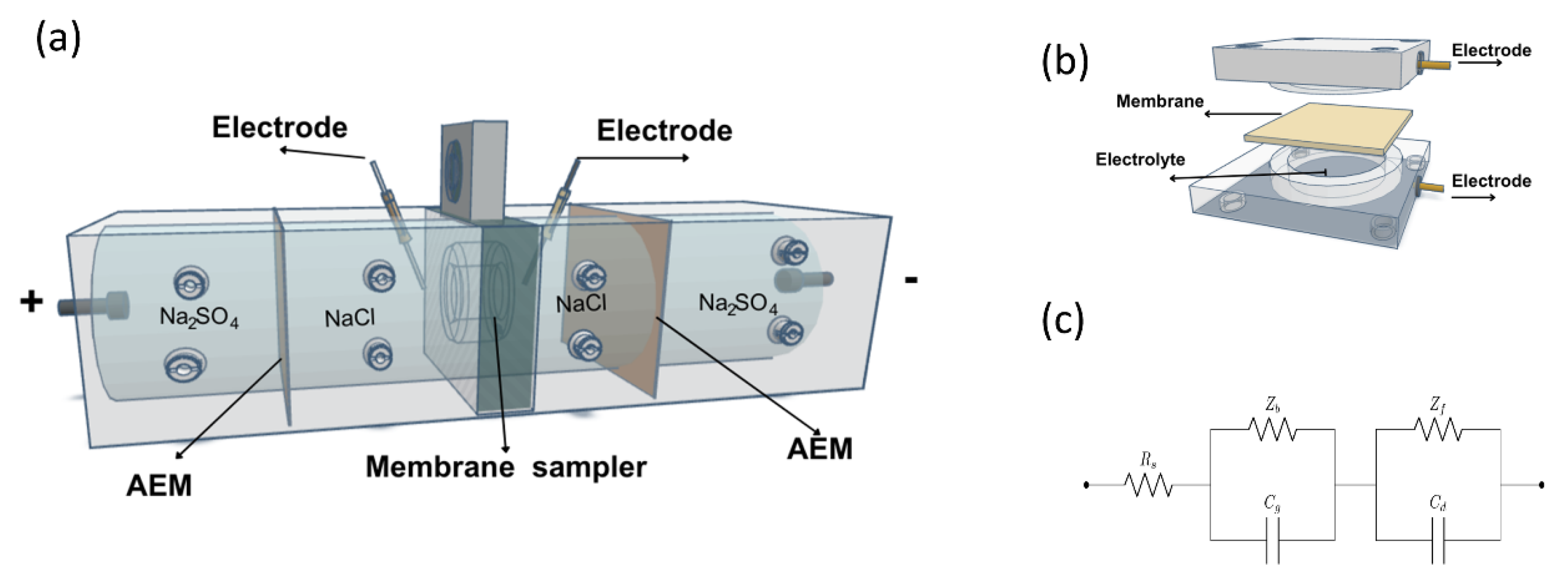 Preprints 155127 g001