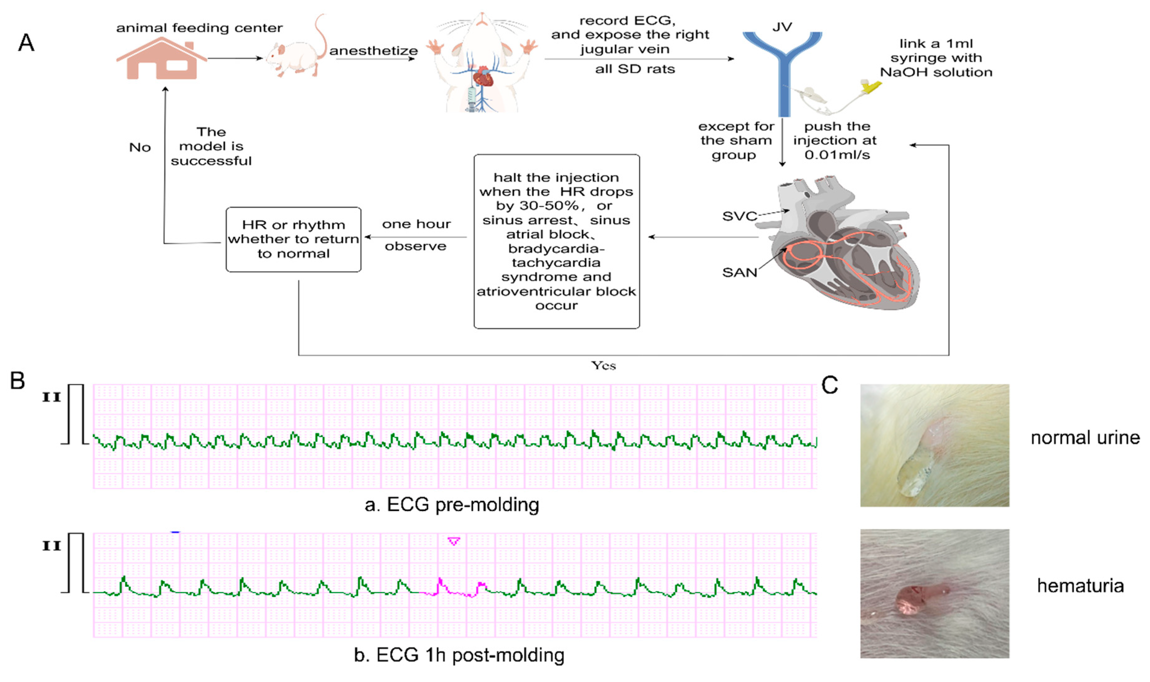 Preprints 111090 g001