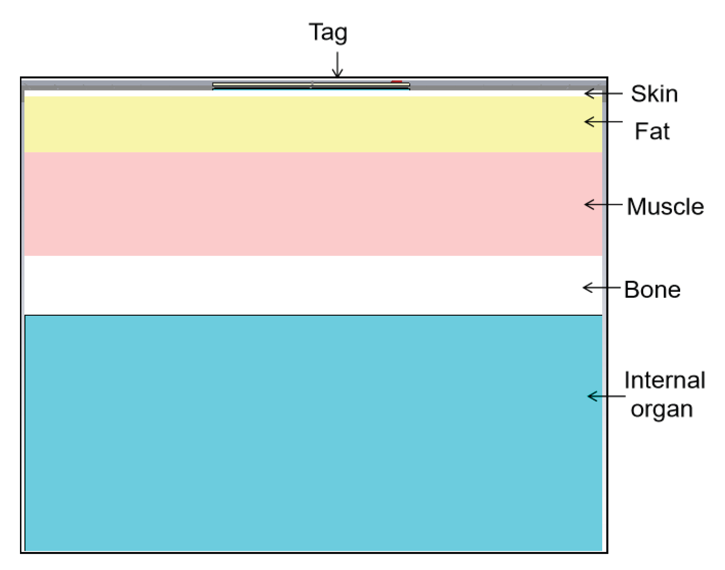 Preprints 198243 g008