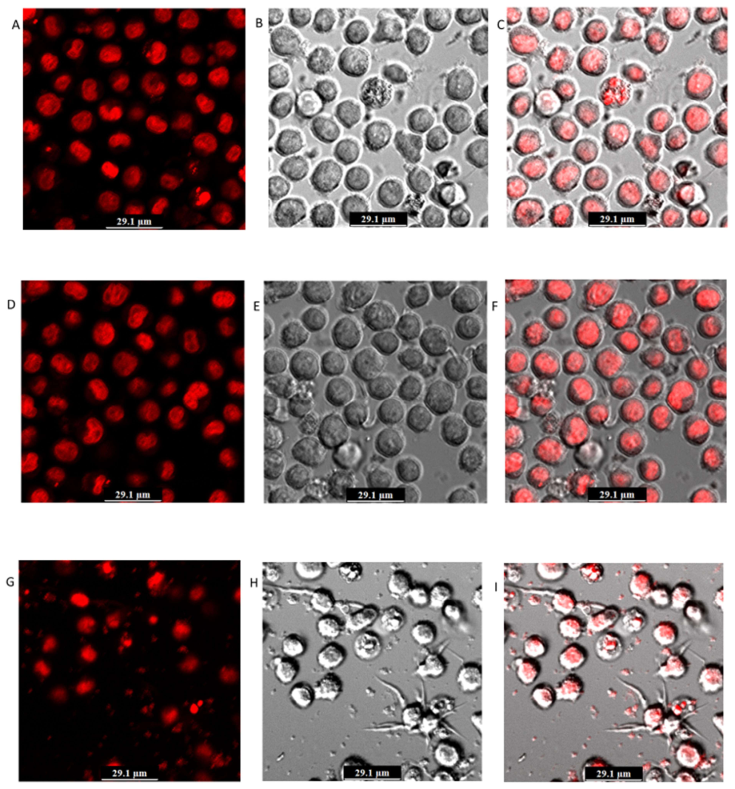 Preprints 224061 g002 Preprints 224061 g002