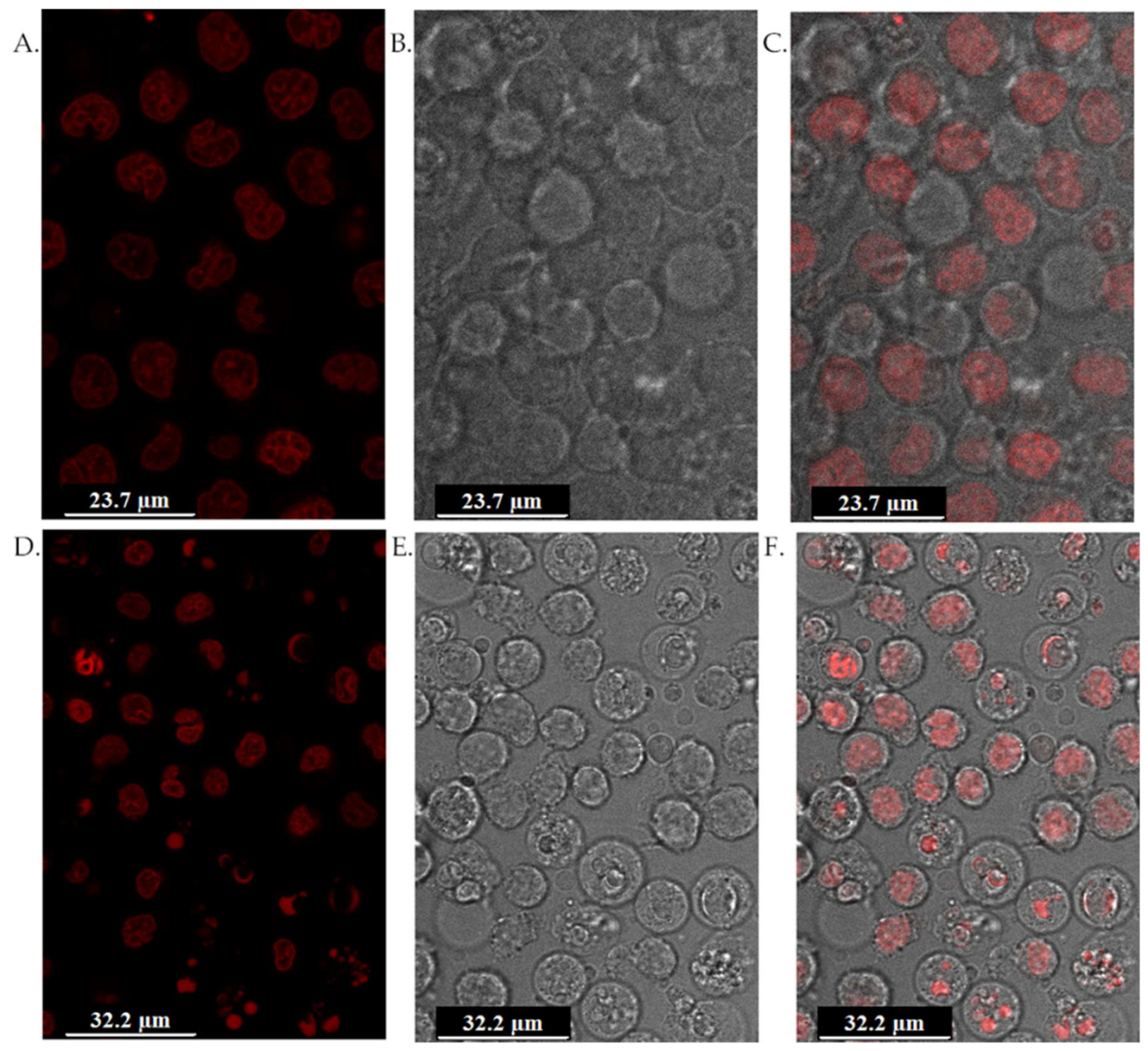 Preprints 224061 g003 Preprints 224061 g003