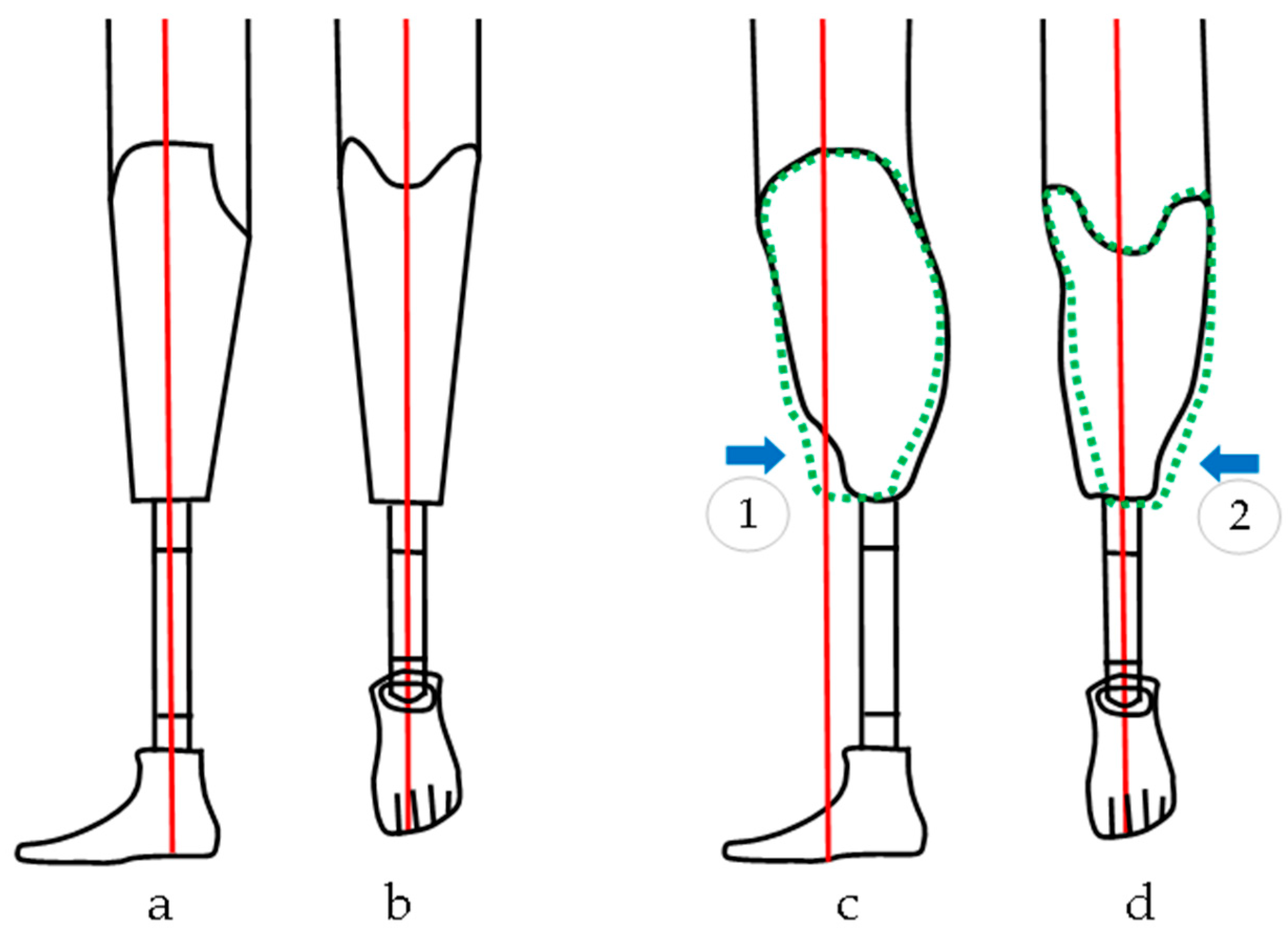 Preprints 148772 g001