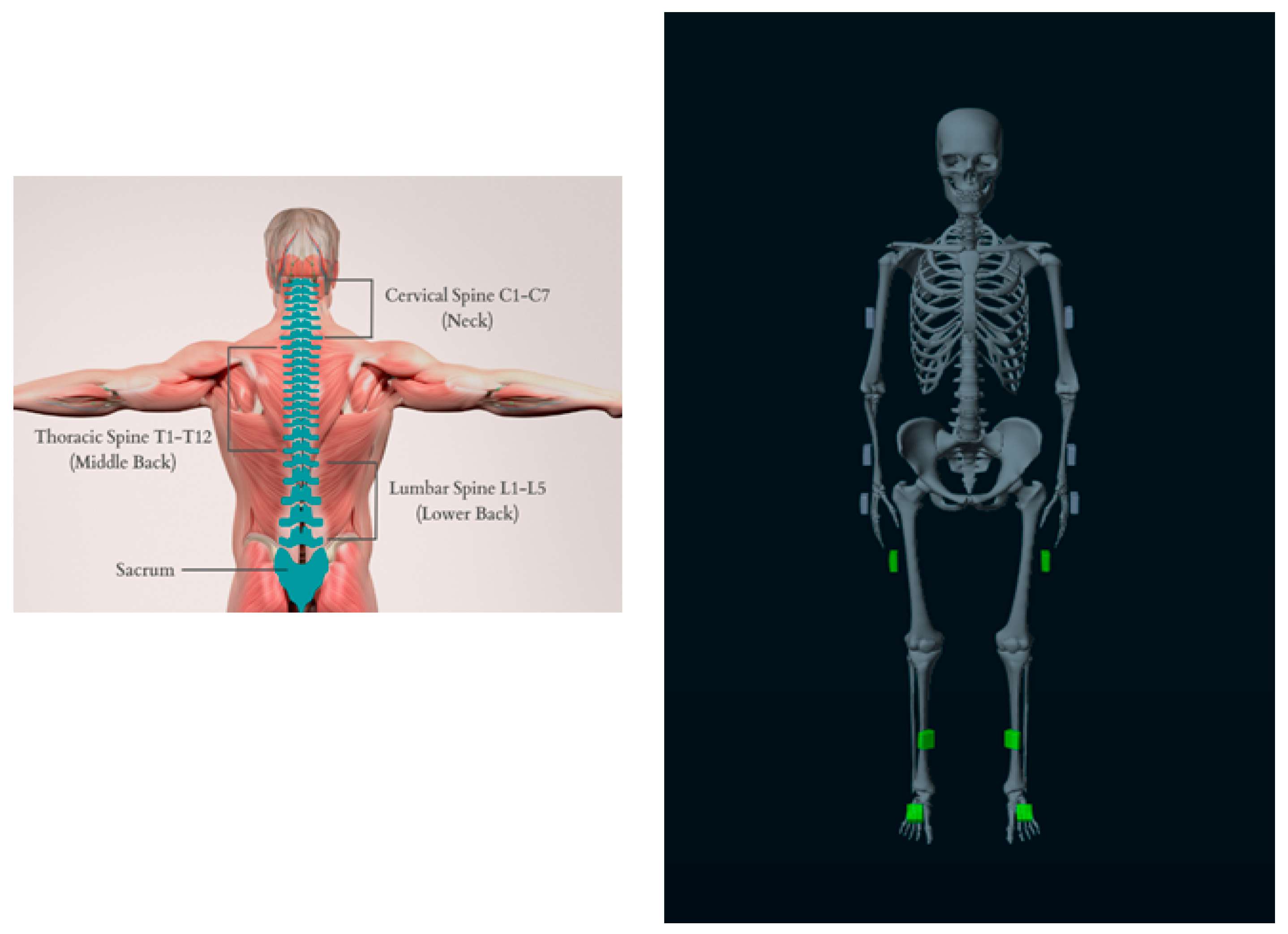 Preprints 148772 g003