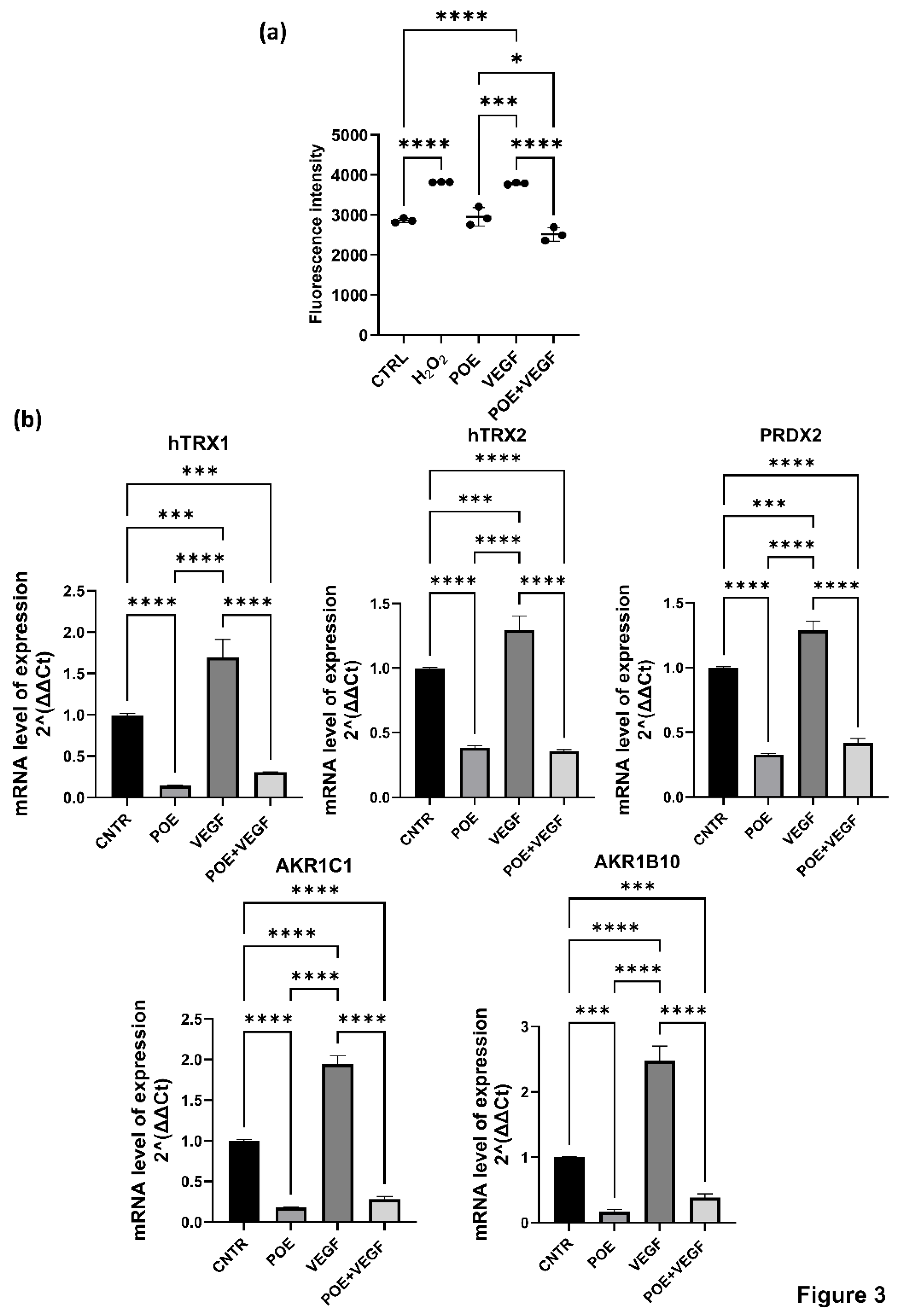 Preprints 168057 g003